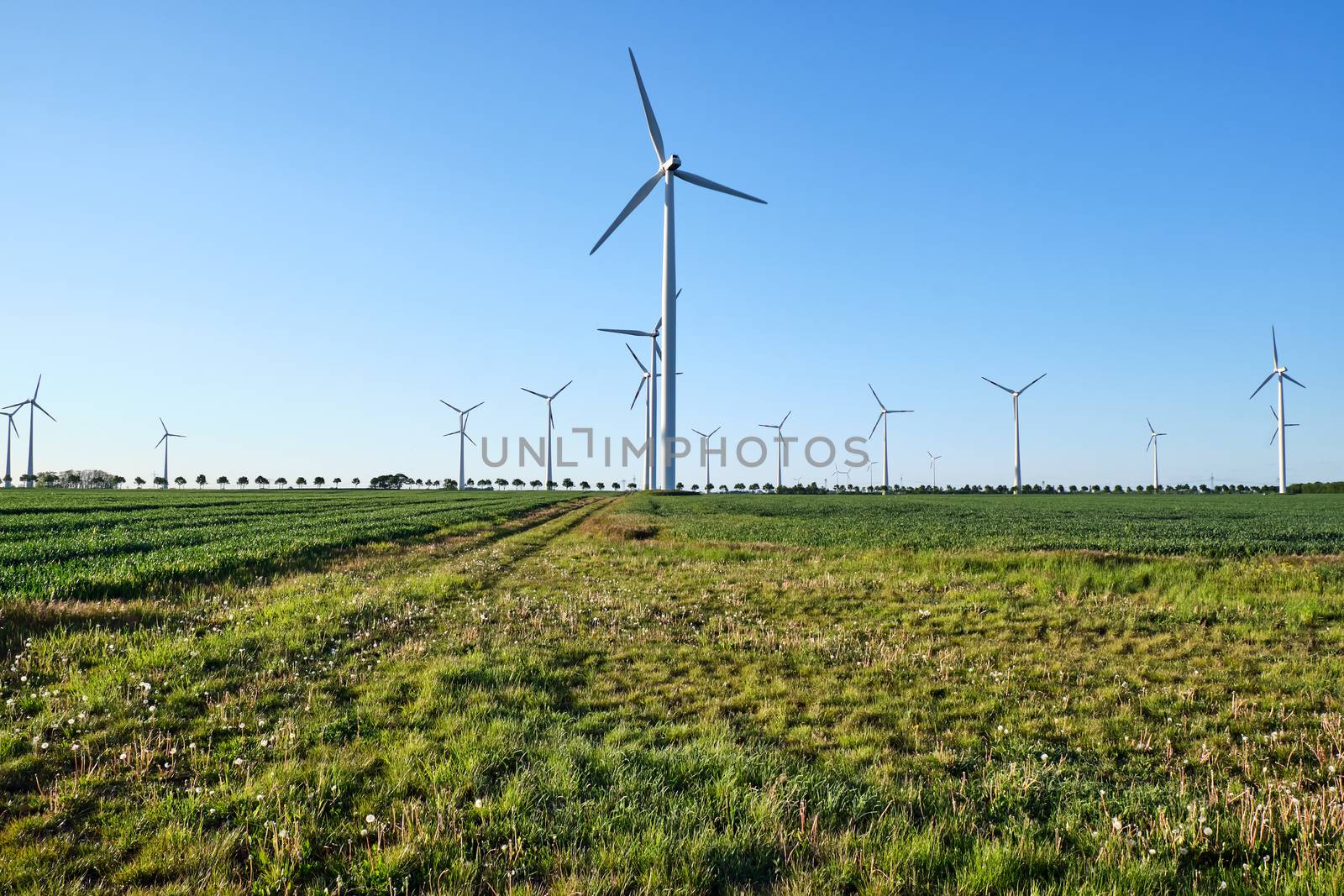 Backlit modern wind turbines seen in Germany