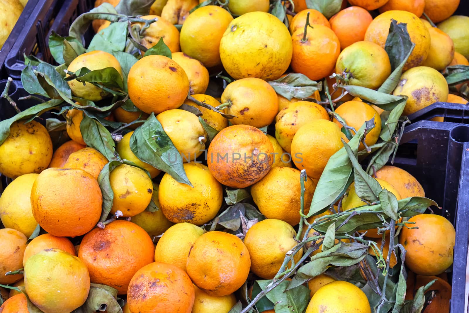 Oranges with leaves for sale at a market