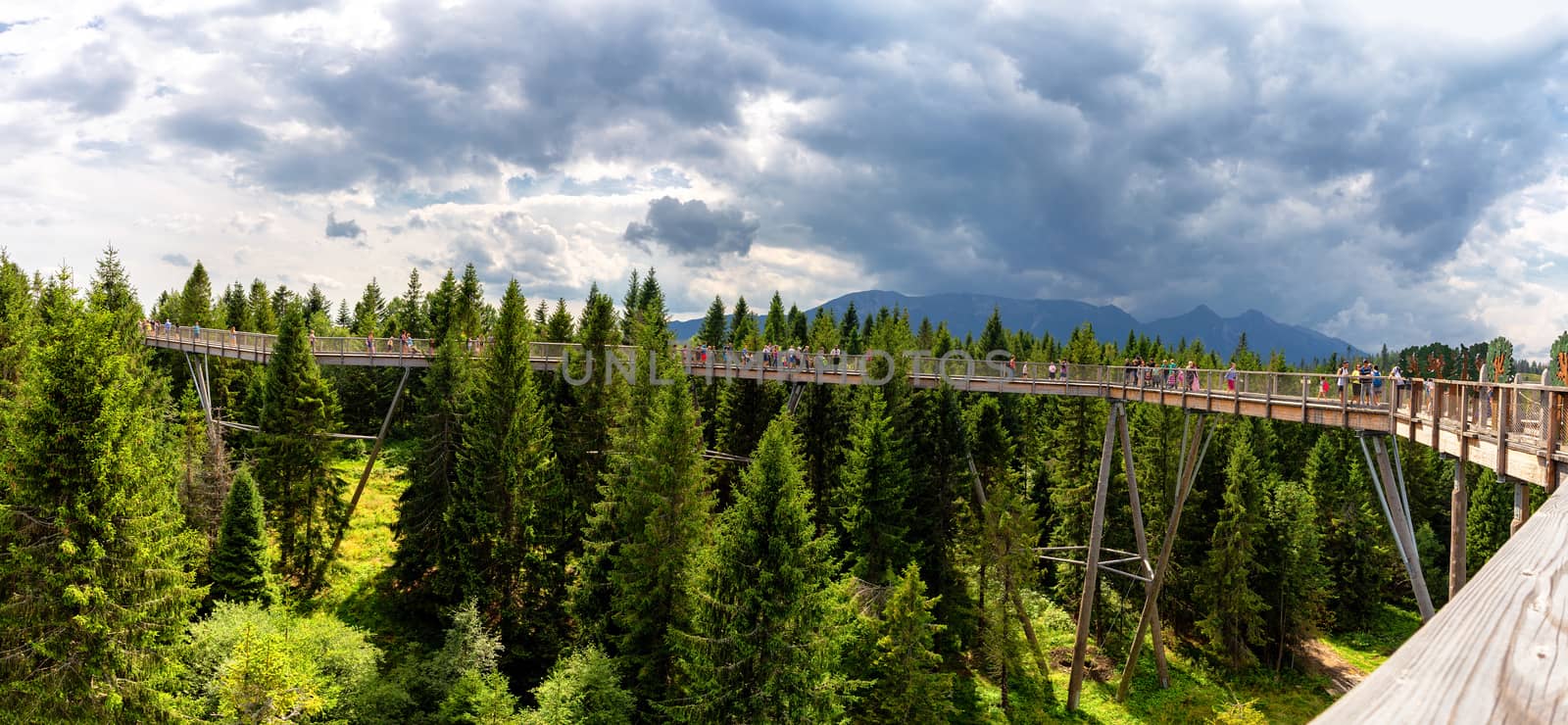 Bachledova dolina treetop walk, Slovakia, Europe by necro79