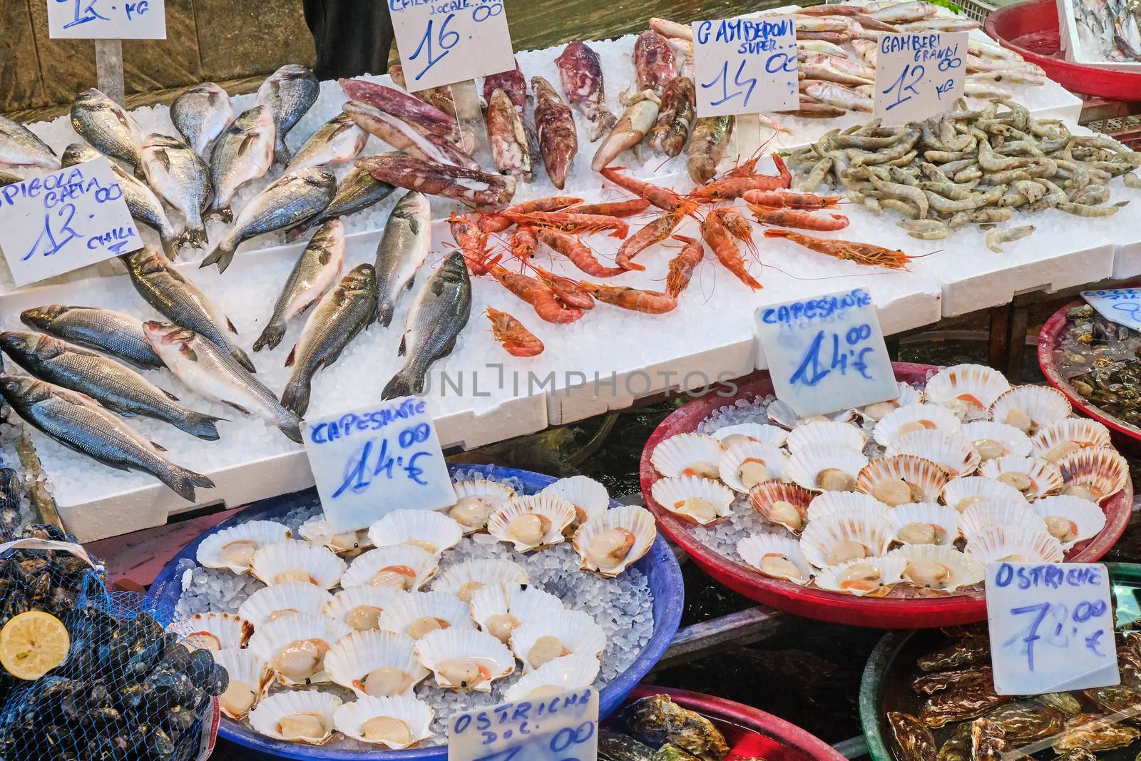 Fish, seafood and bivalves for sale at a market in Naples