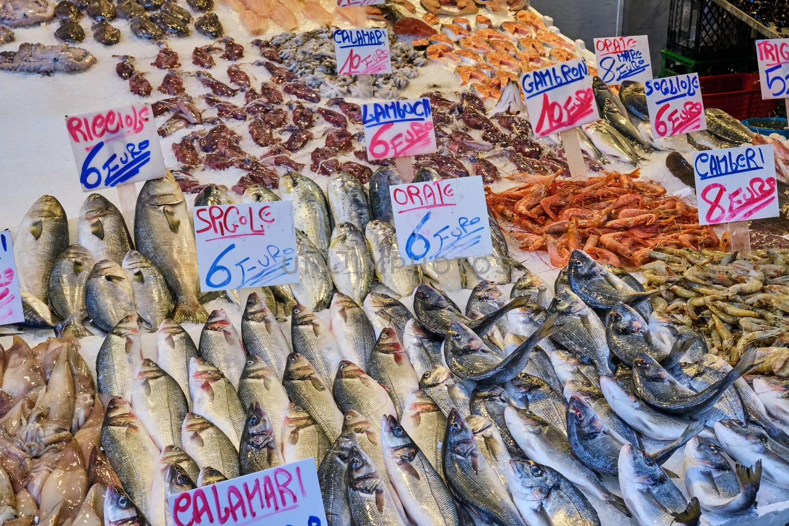 Fresh fish and seafood for sale at the Porta Nolana market in Naples, Italy
