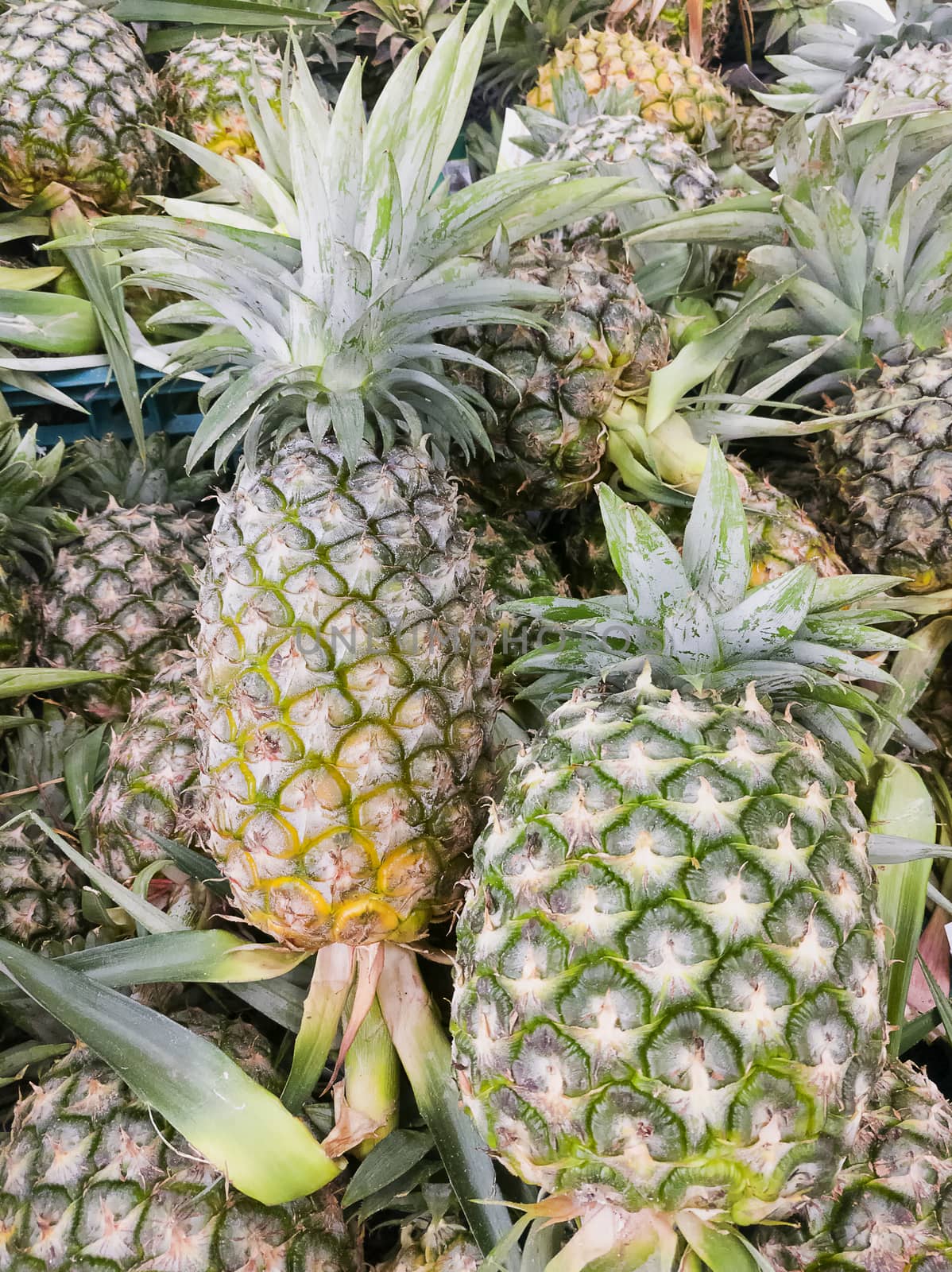 Pieapple on Thailand market