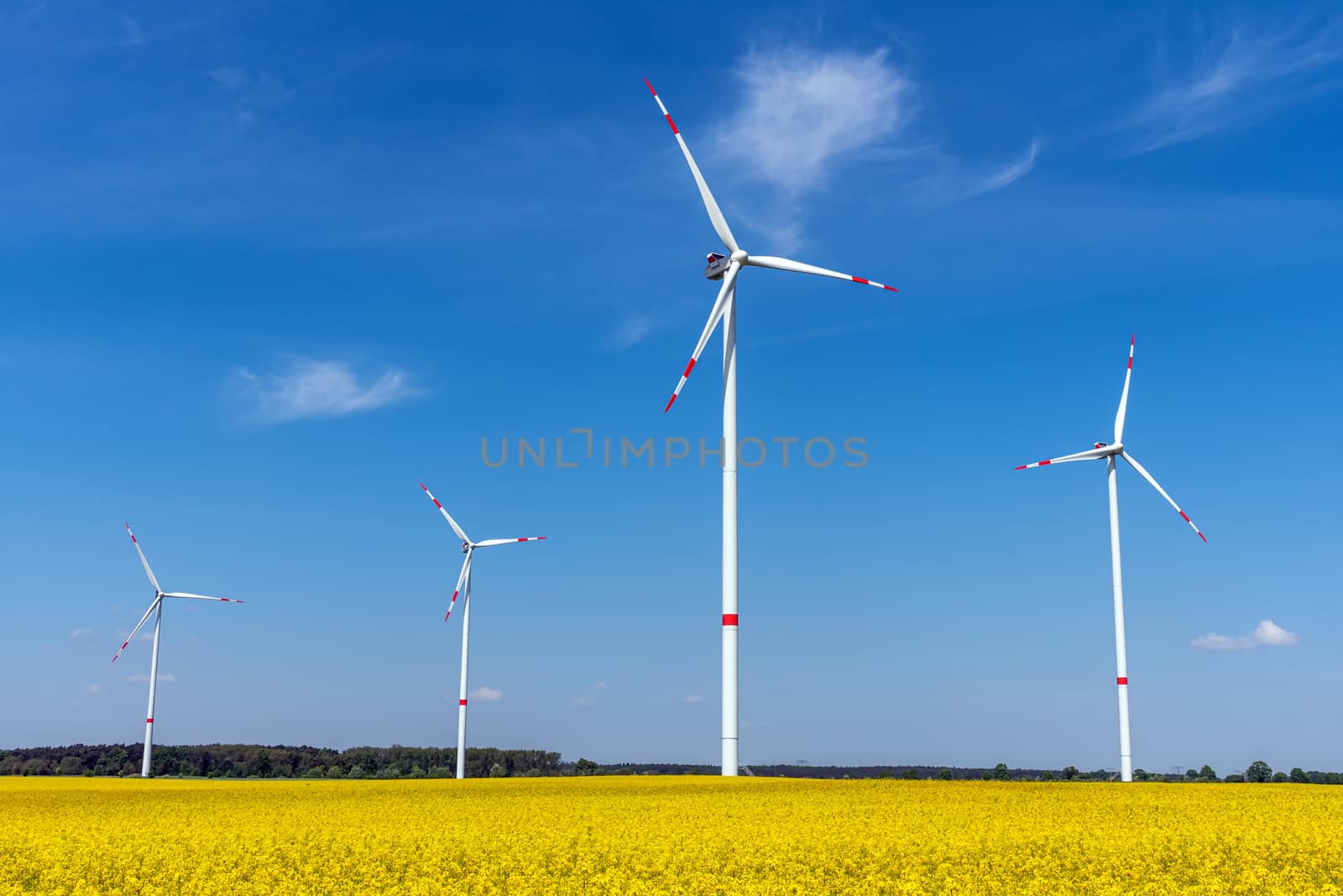 Wind energy turbines and a flowering canola field seen in Germany