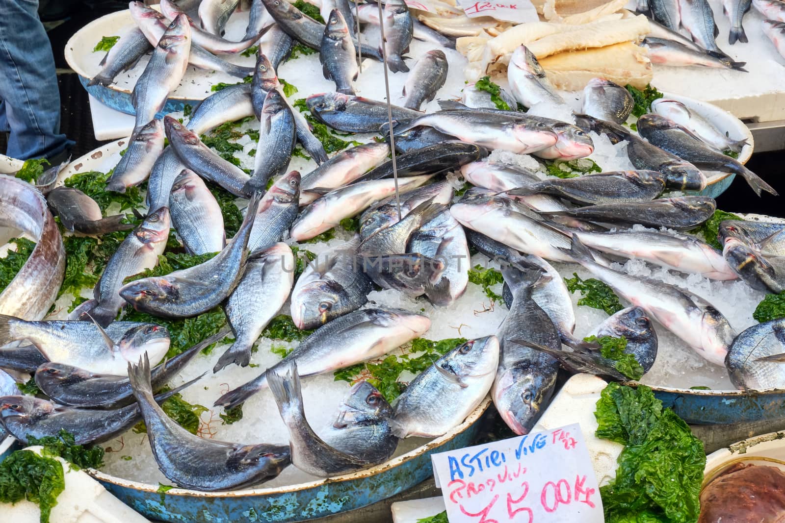 Small fish on ice for sale at a market