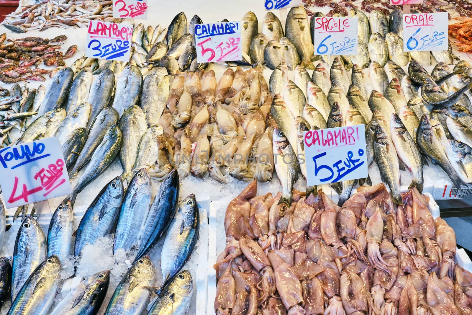 Calamari, fish and seafood for sale at a market in Naples, Italy