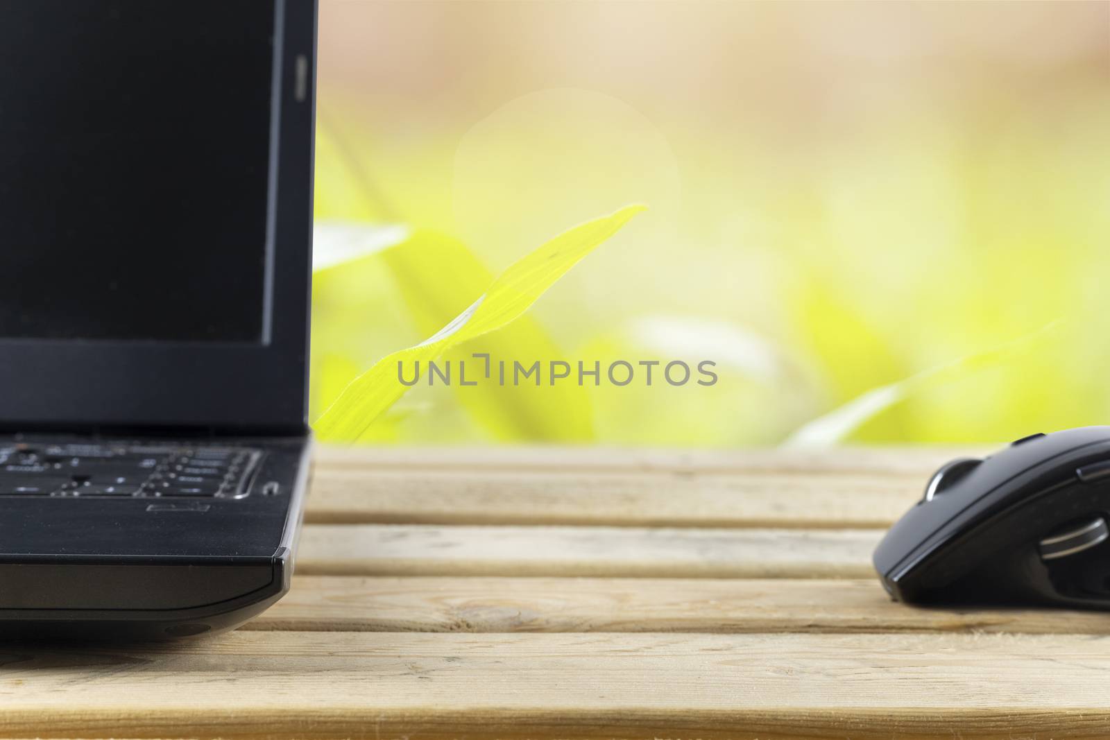 Office concept. Mouse and laptop on wood table and garden background. With copy space for text or design. Soft focus.