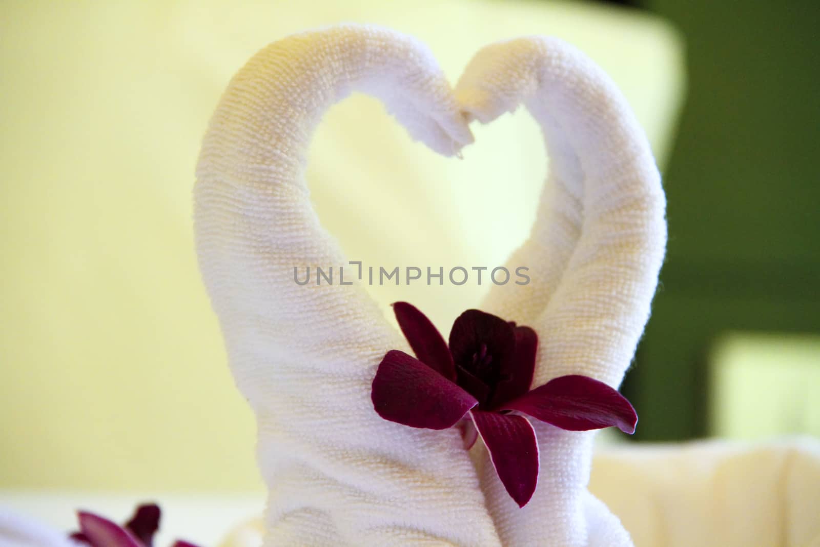 Close up two swans made from white towels are kissing on bed with orchid. 