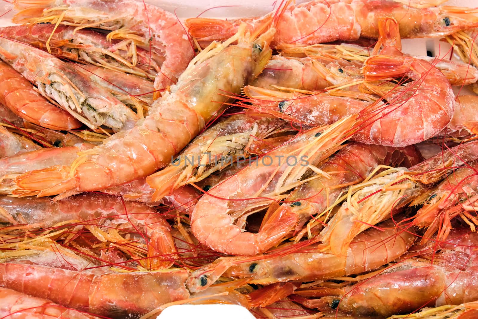 Fresh shrimps for sale at a market