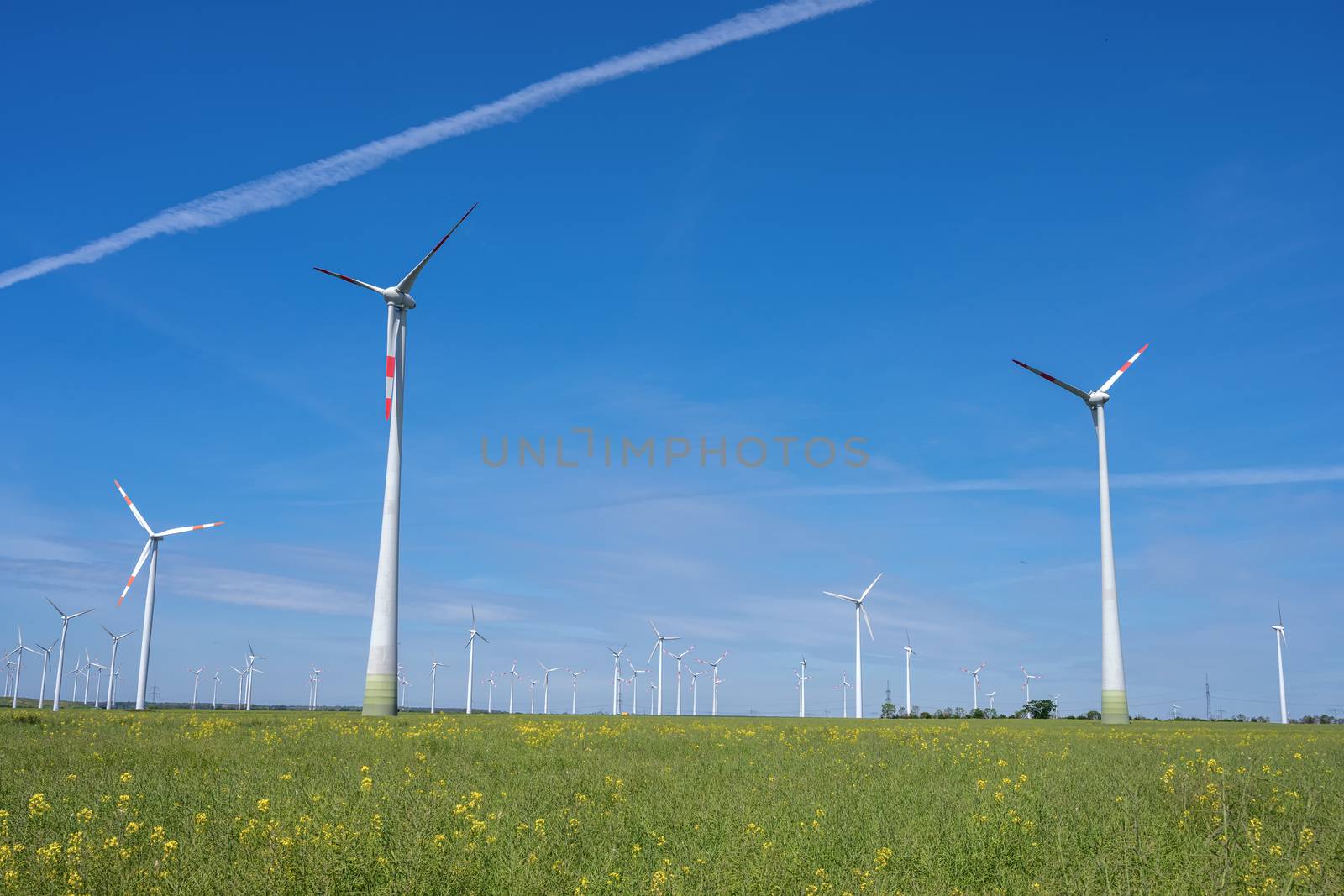Wind energy generators in an agricultural field seen in Germany