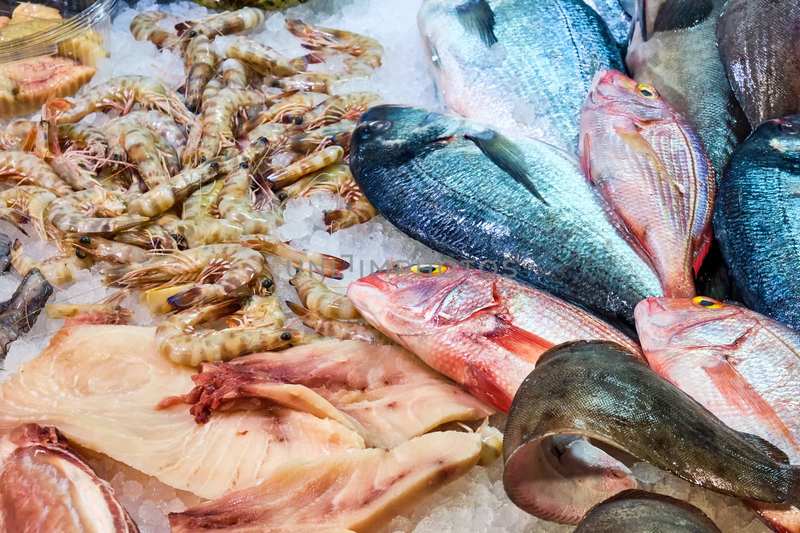 Fish and seafood for sale at a market in Rome, Italy