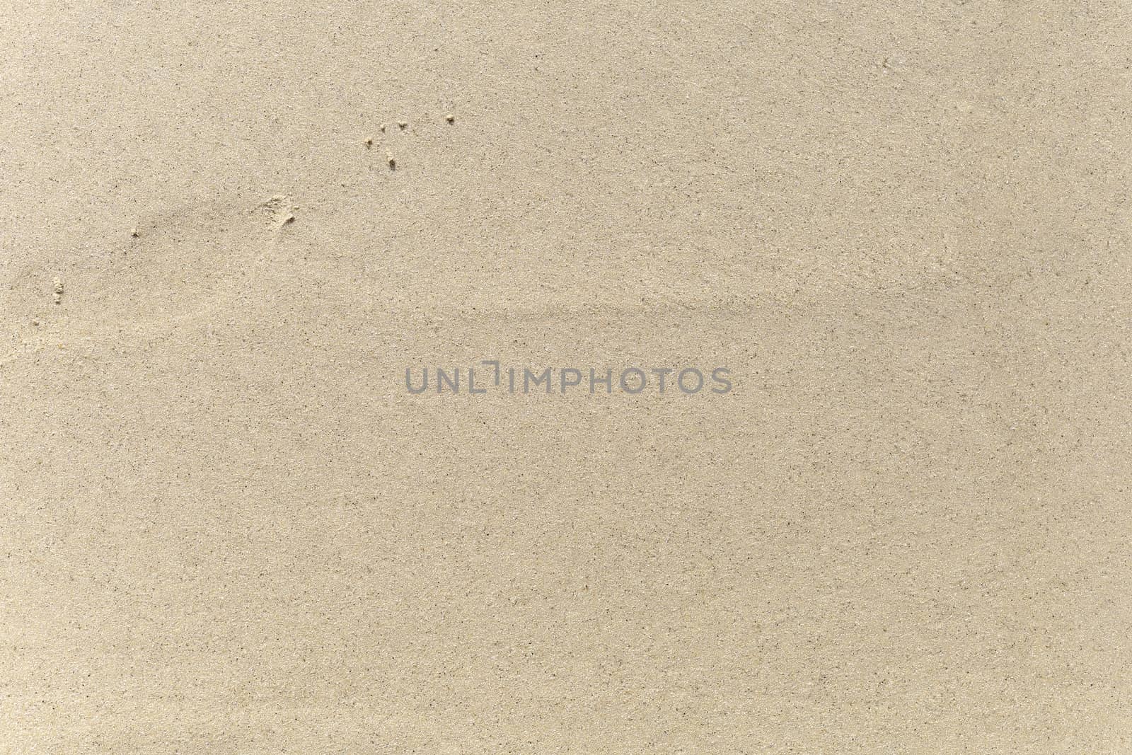 Sand on the beach background. For text or design.