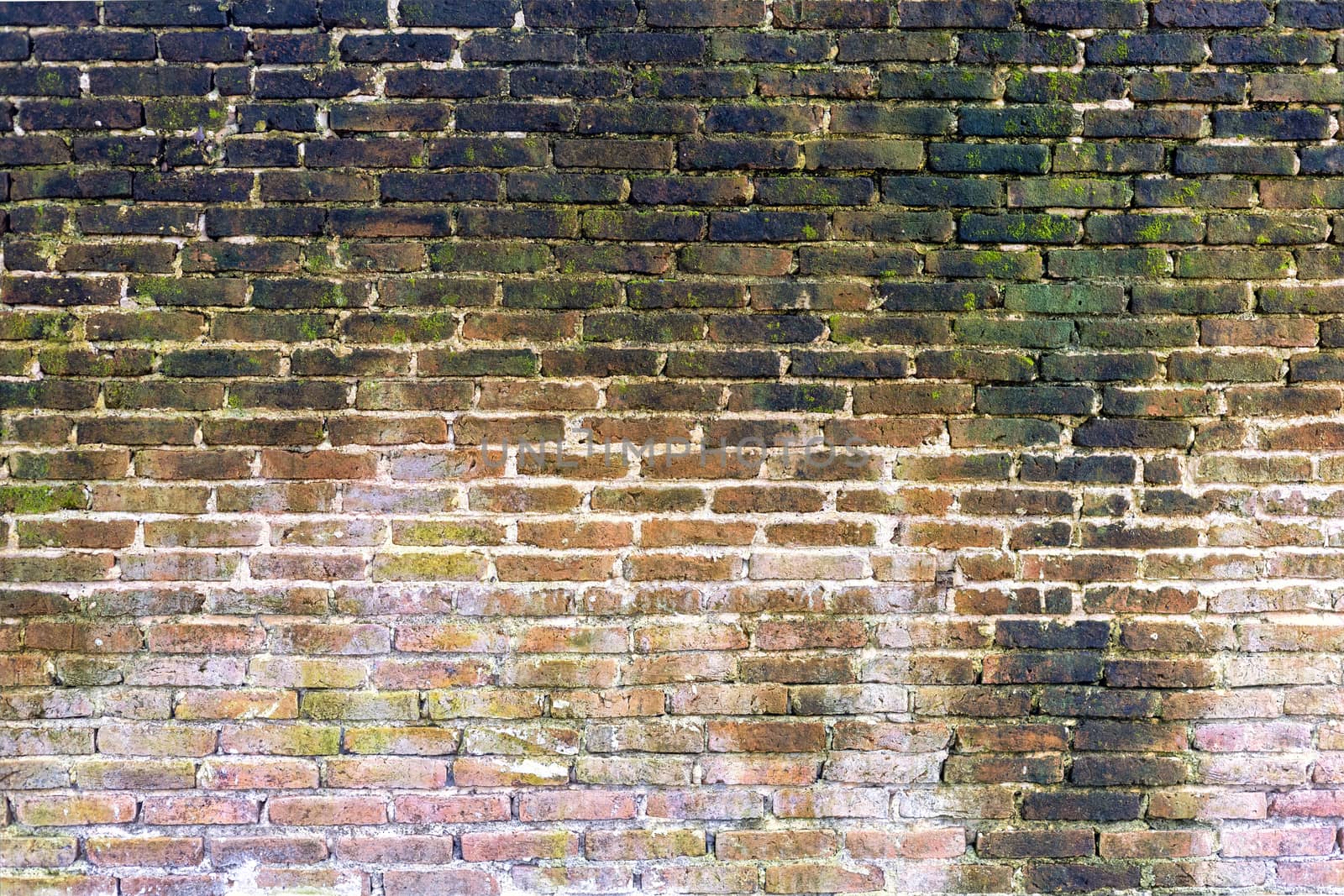 Old red brick block wall texture background. Free space for text or design.