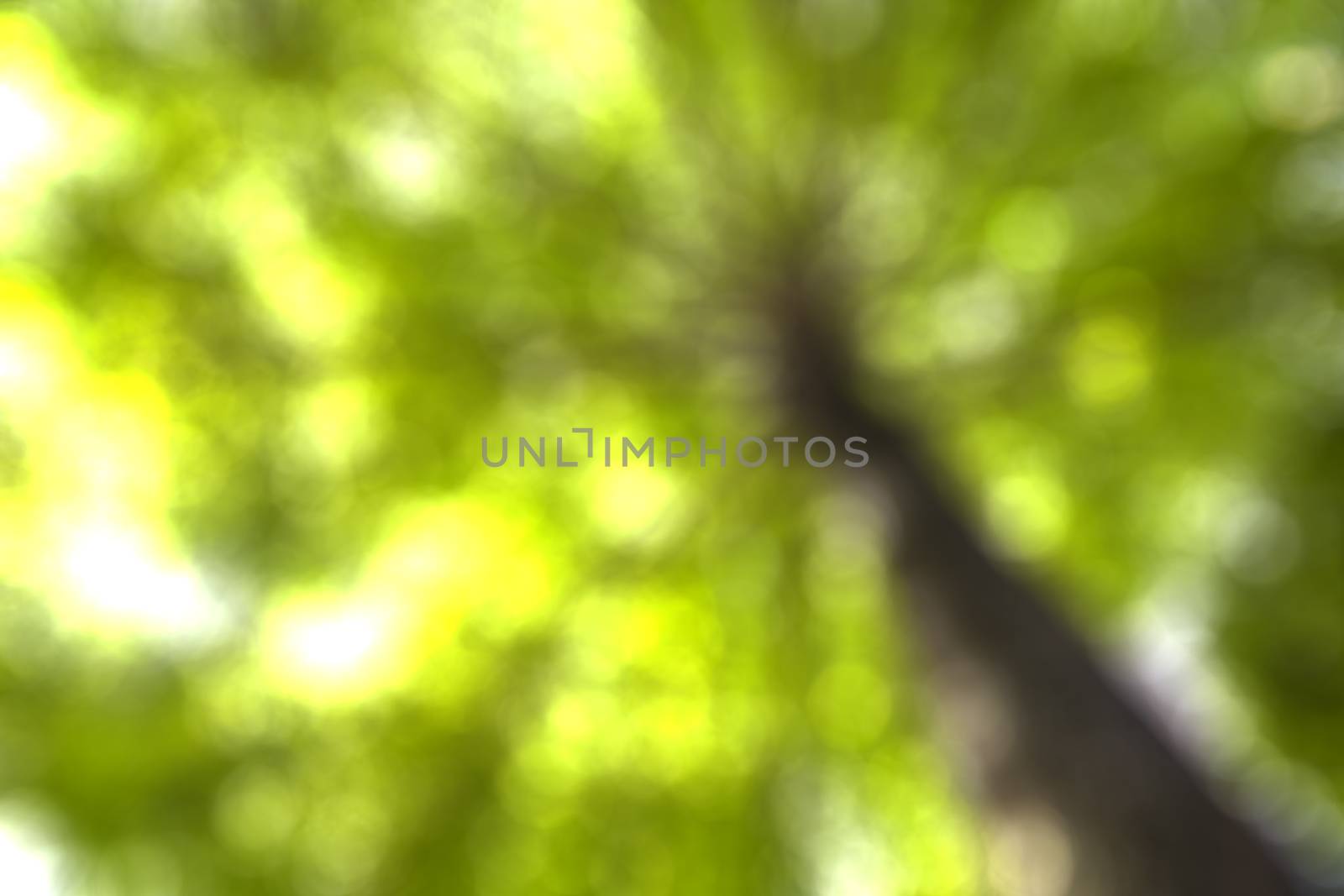 Abstract Bokeh blur color light use for background, Abstract background
