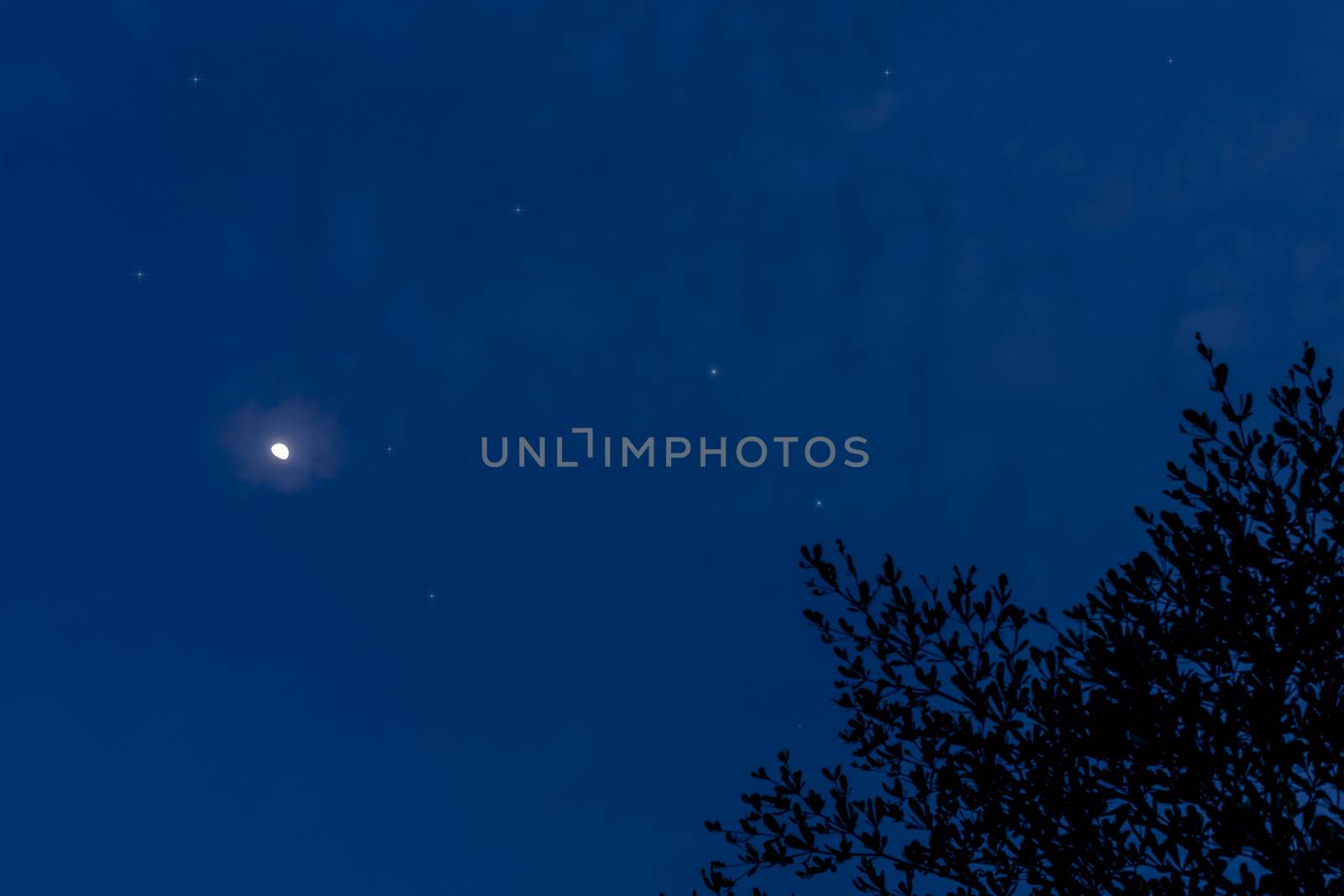 Half moon and stars on the sky night time background with copy space for text or design.