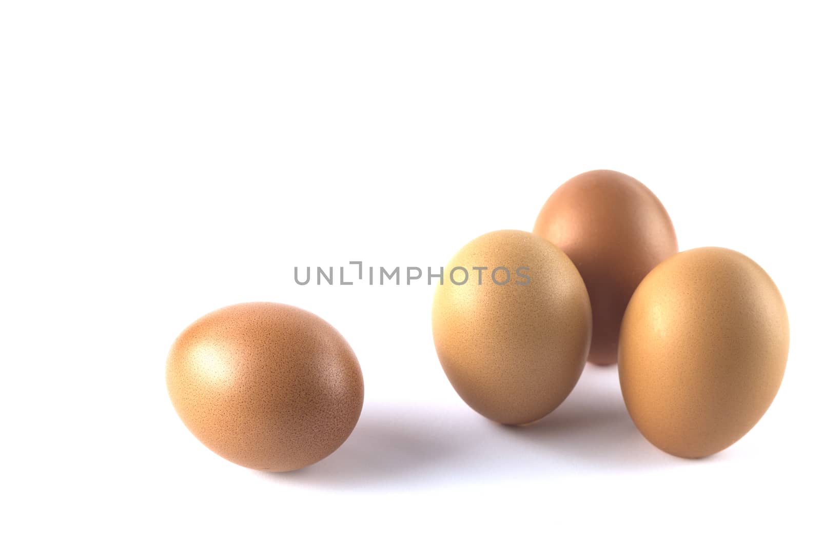 Fresh Chicken egg isolated on white background.