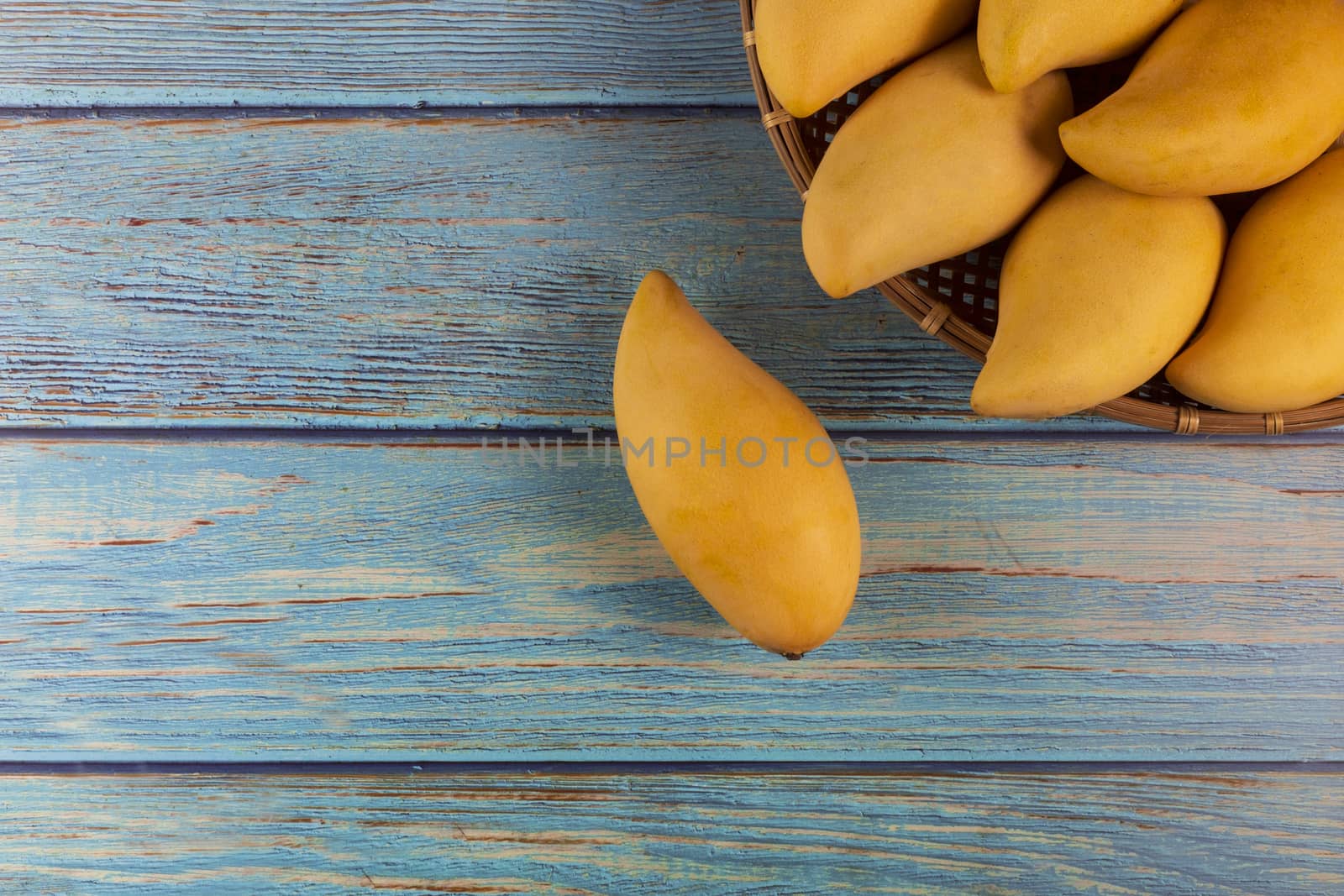 Yellow Fresh mangos 0n blue wood table. Mango tropical fruit on wood background. mangos with copy space for text or design. summer concept. 