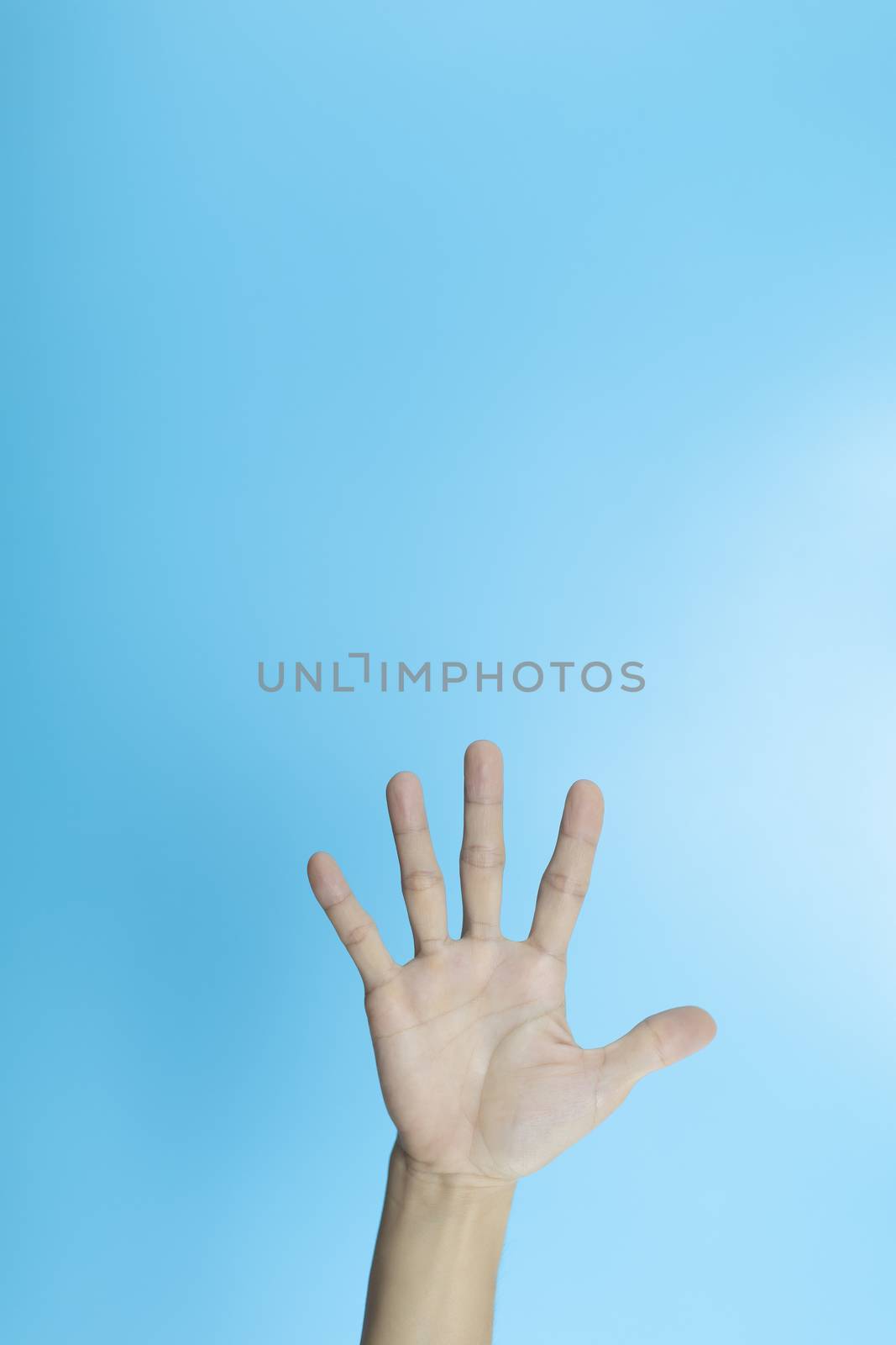 Woman hand show 5 finger sign on light blue background. Number five. woman open palm five finger on blue background with copy space