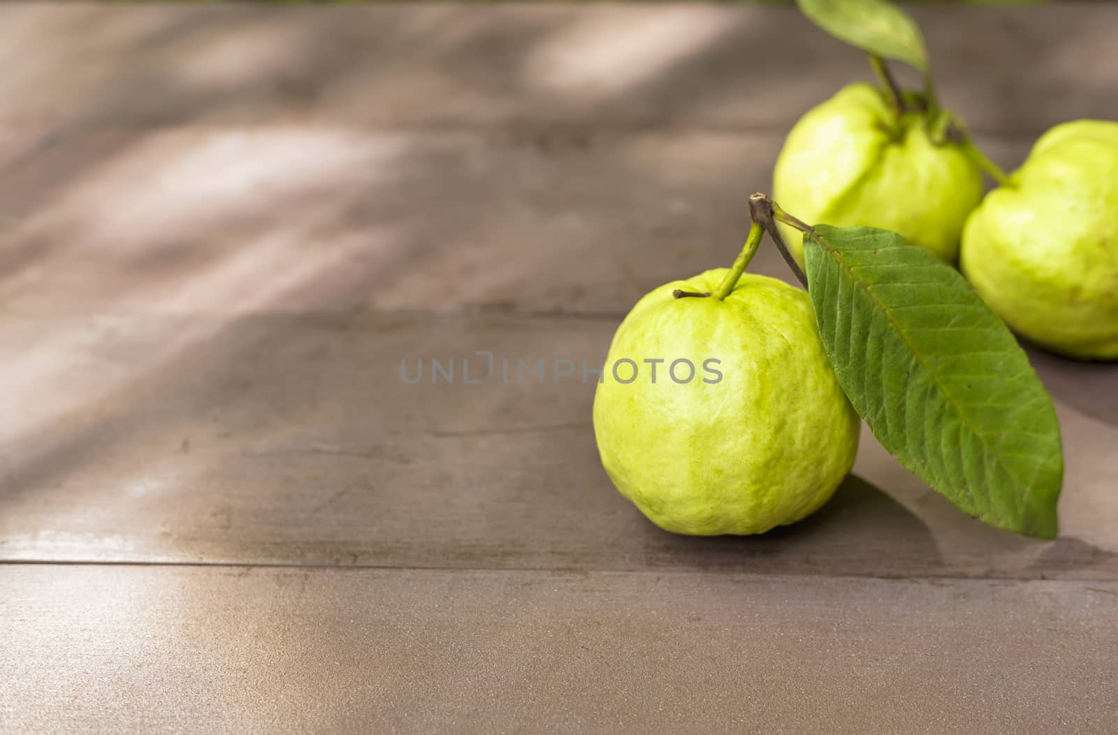 Fresh guava fruit on wood table with sun ray.