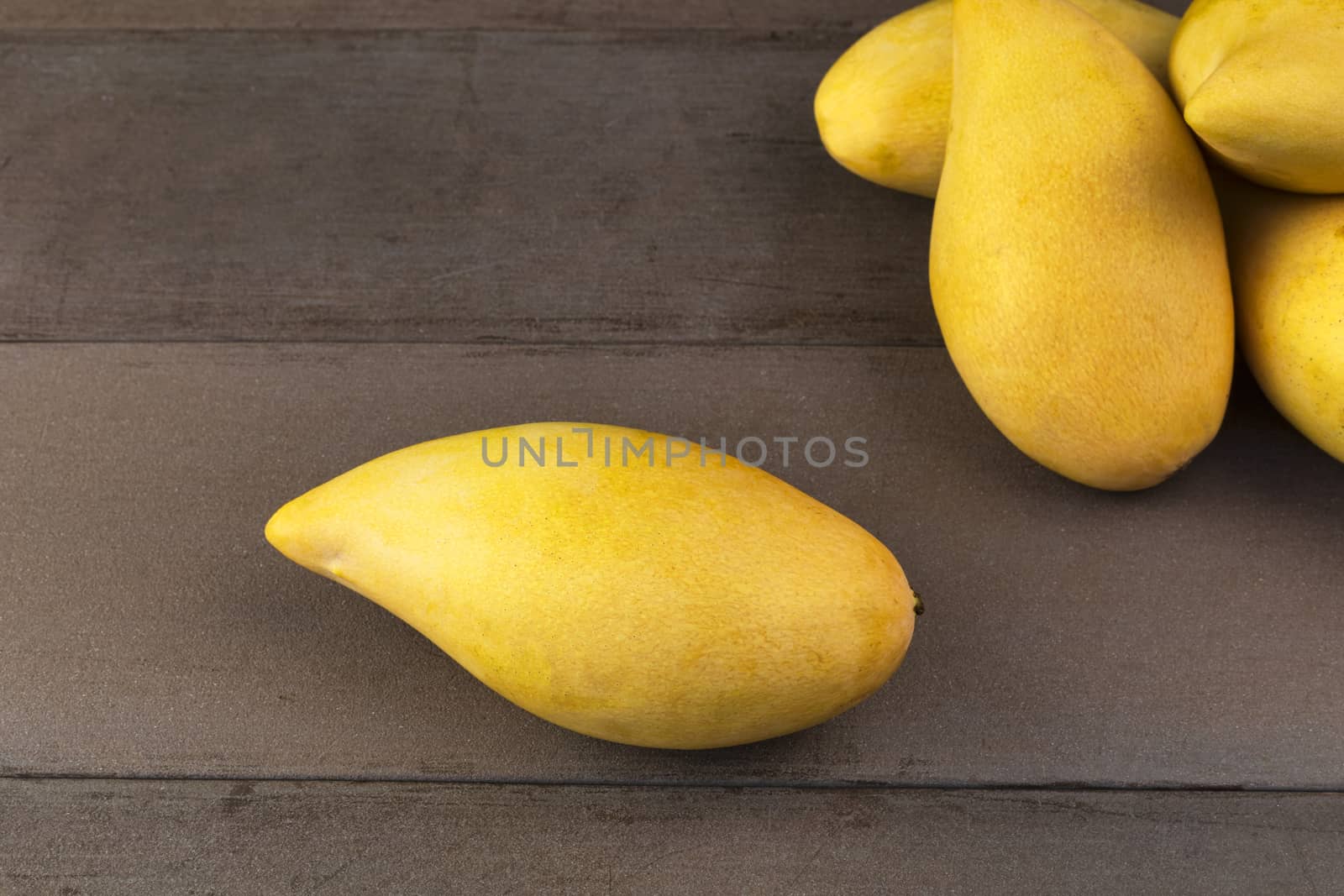 Yellow Fresh mangos real wood table. Mango tropical fruit on wood background. mangos with copy space for text or design.
