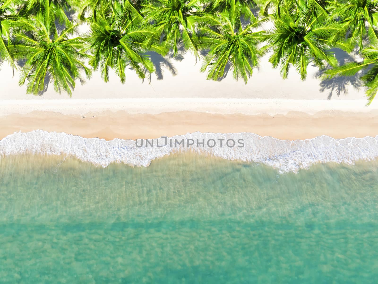 Aerial view top view Beautiful topical beach with white sand coconut palm trees and sea. Top view empty and clean beach. Waves crashing empty beach from above. With copy space.