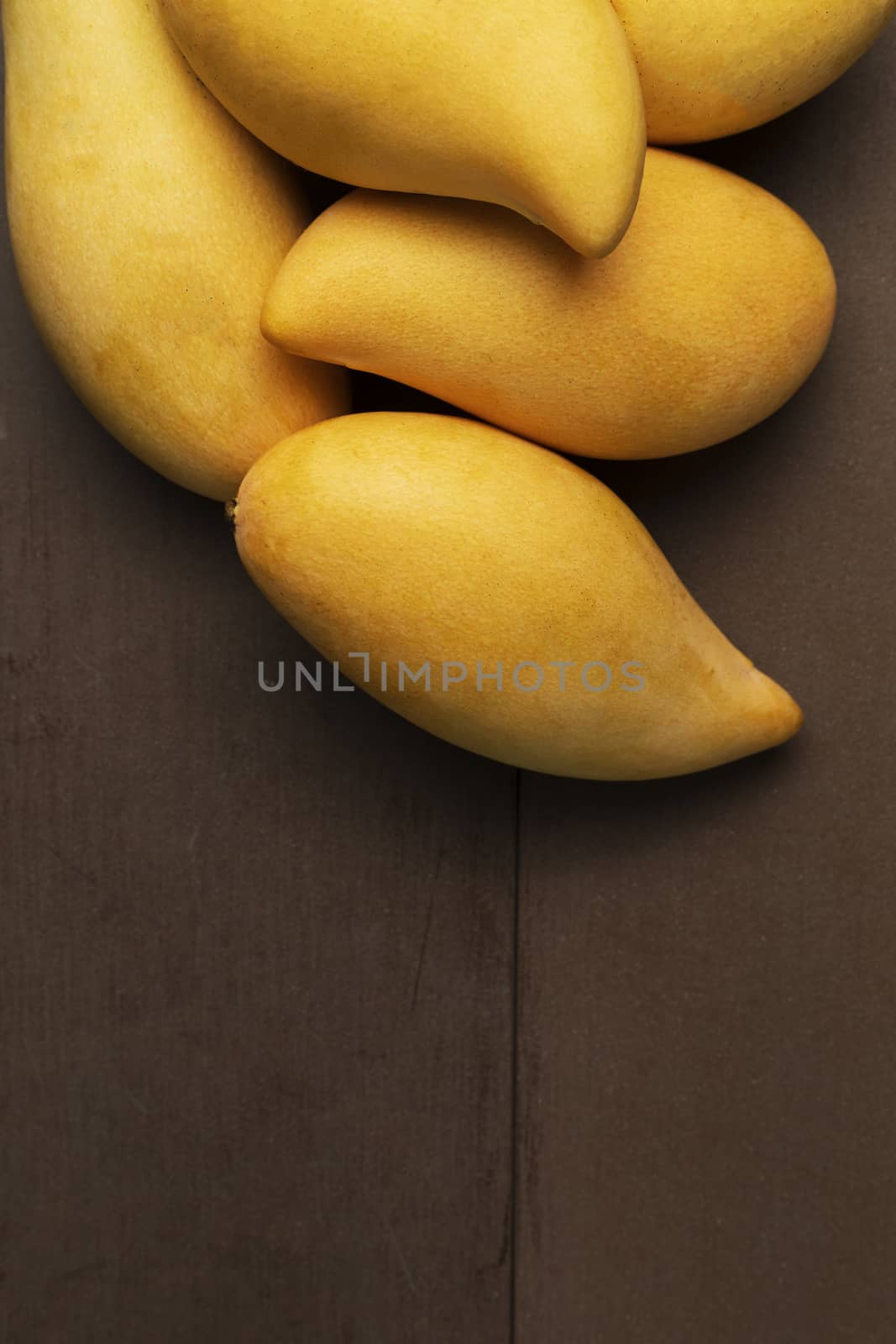 Yellow Fresh mangos real wood table. Mango tropical fruit on wood background. mangos with copy space for text or design.