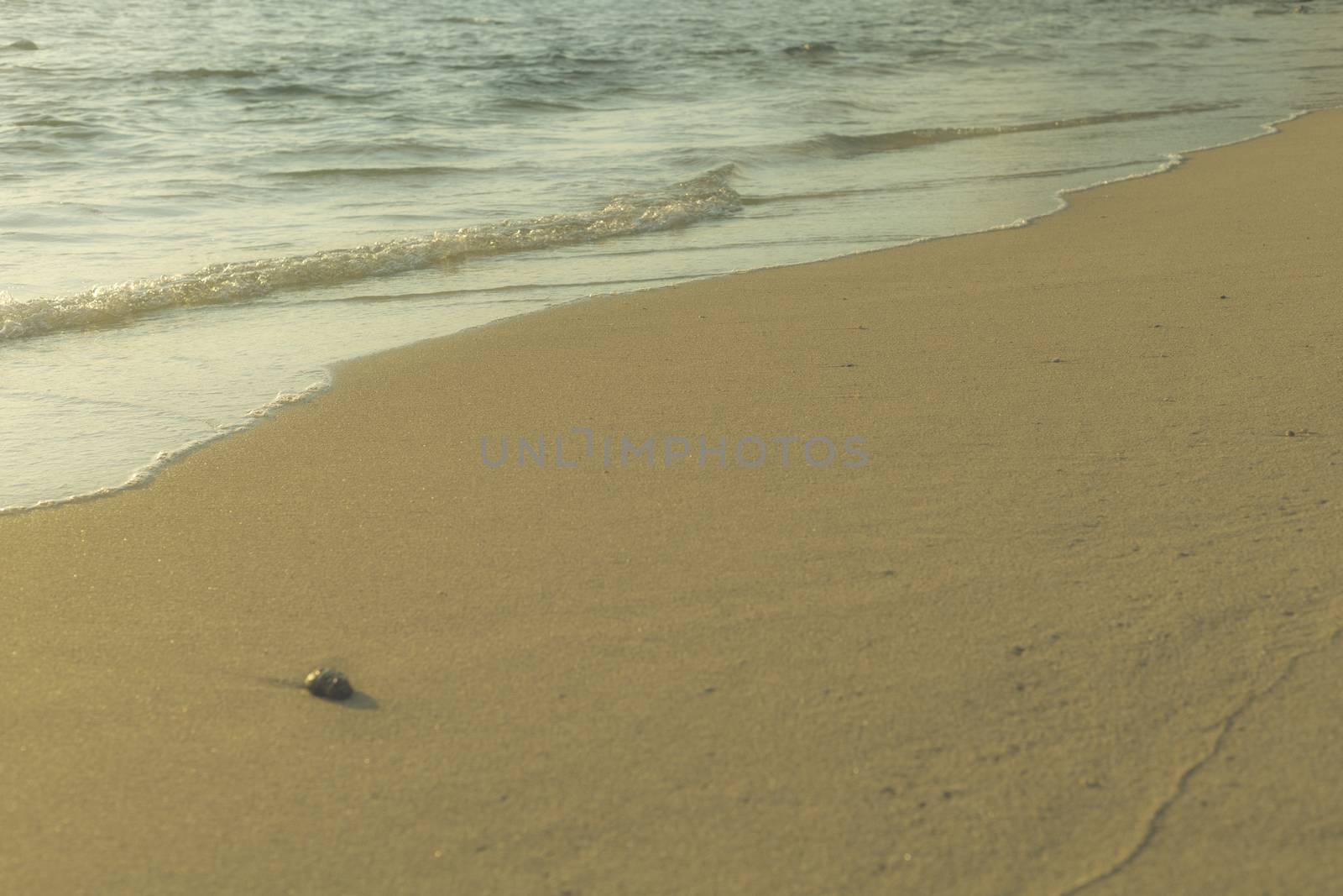 Soft wave from sea come to wet sand beach background. With copy space for text or design 