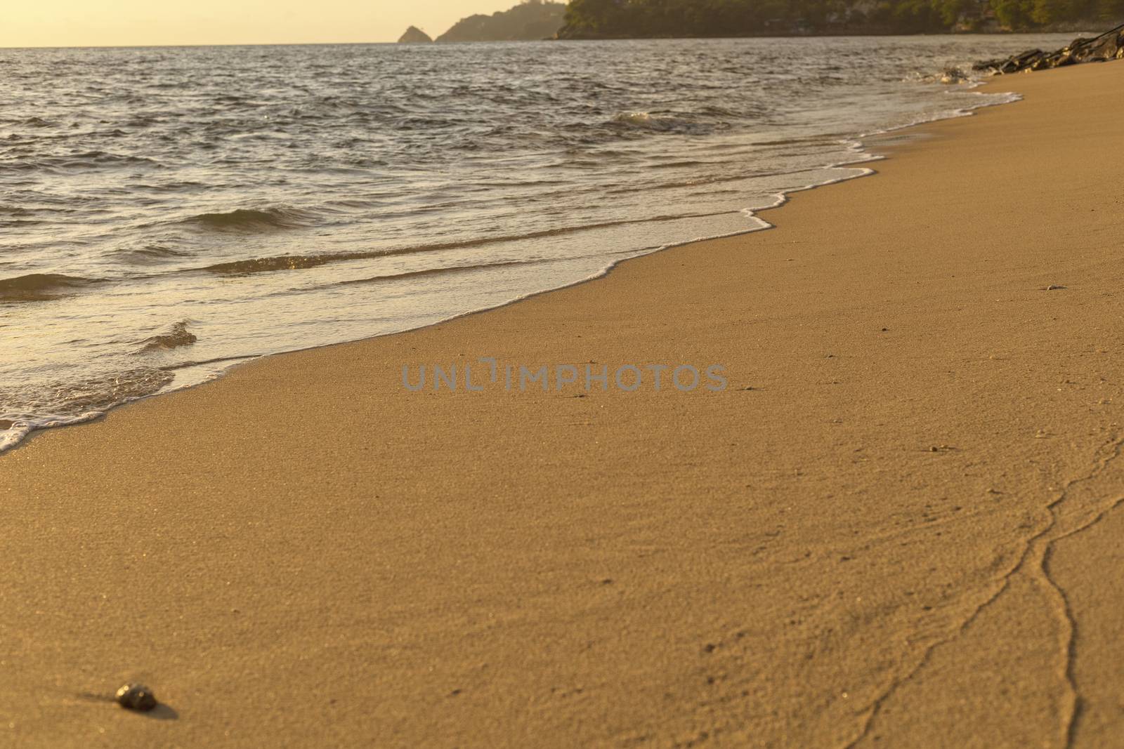 Soft wave from sea come to wet sand beach background. With copy space for text or design 