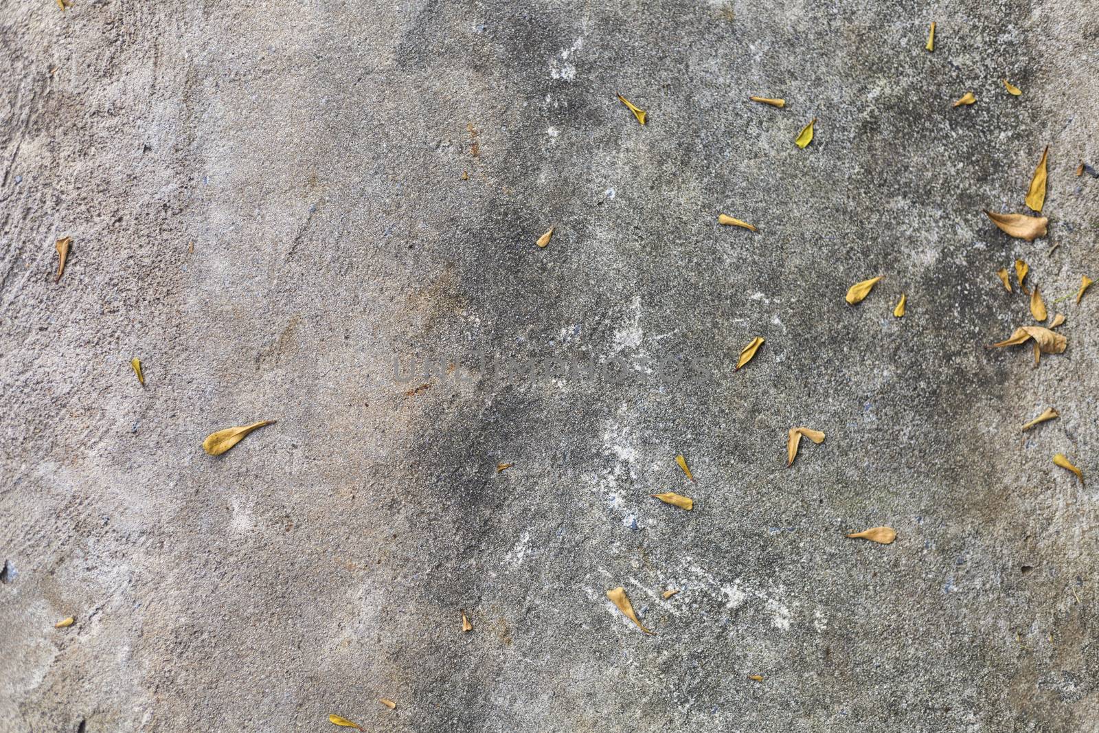 Cement floor with little dry leaves background.
