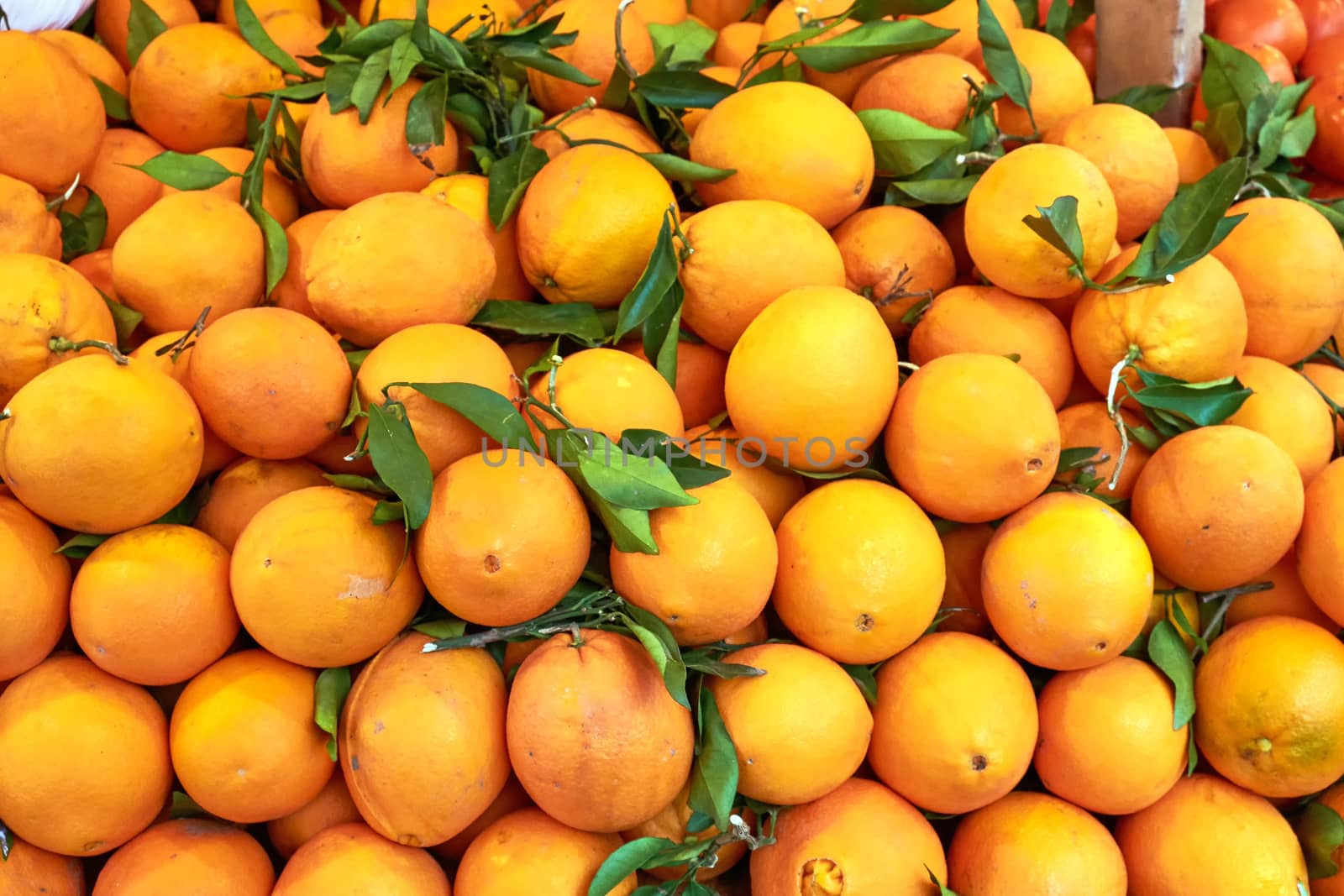Fresh ripe clementines with green leaves for sale at market