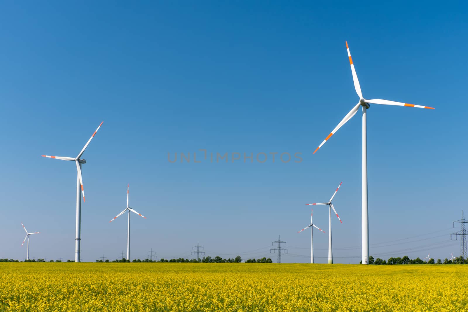 Modern wind turbines and flowering oilseed rape by elxeneize
