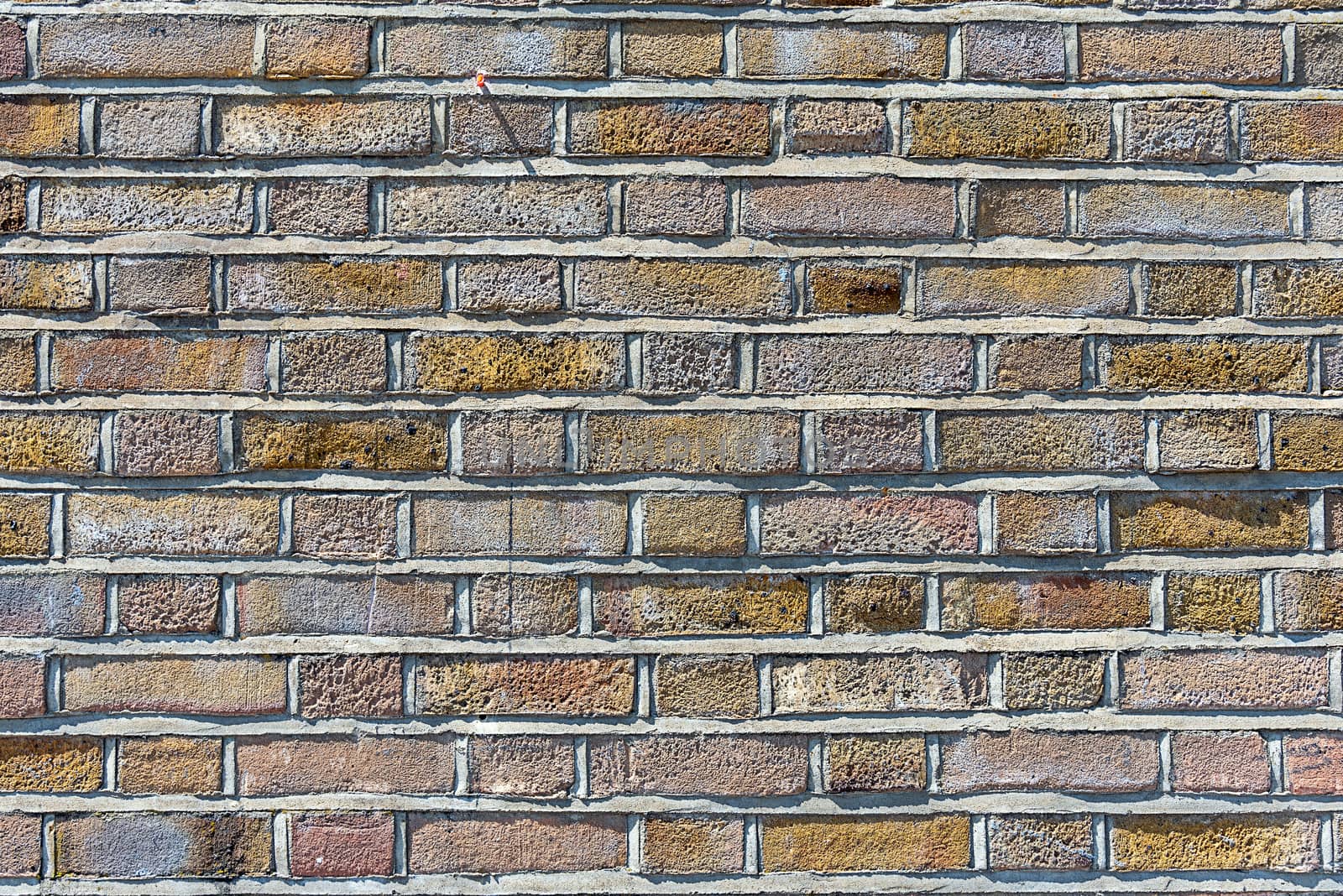 Brown brick wall by elxeneize