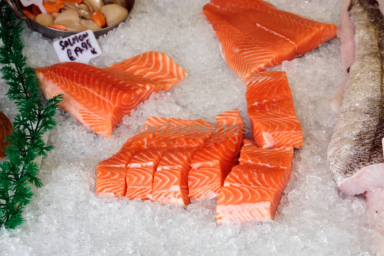 Fresh salmon fillet for sale at a market