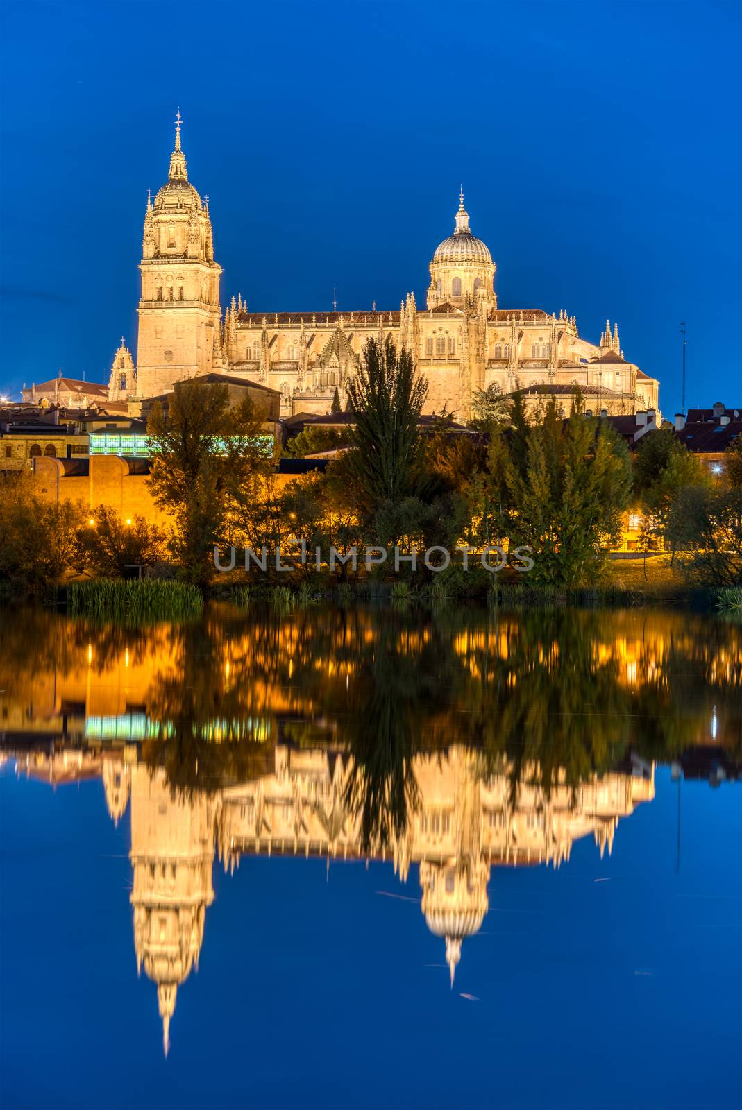 The Cathedral of Salamanca reflecting in the river Tormes at night