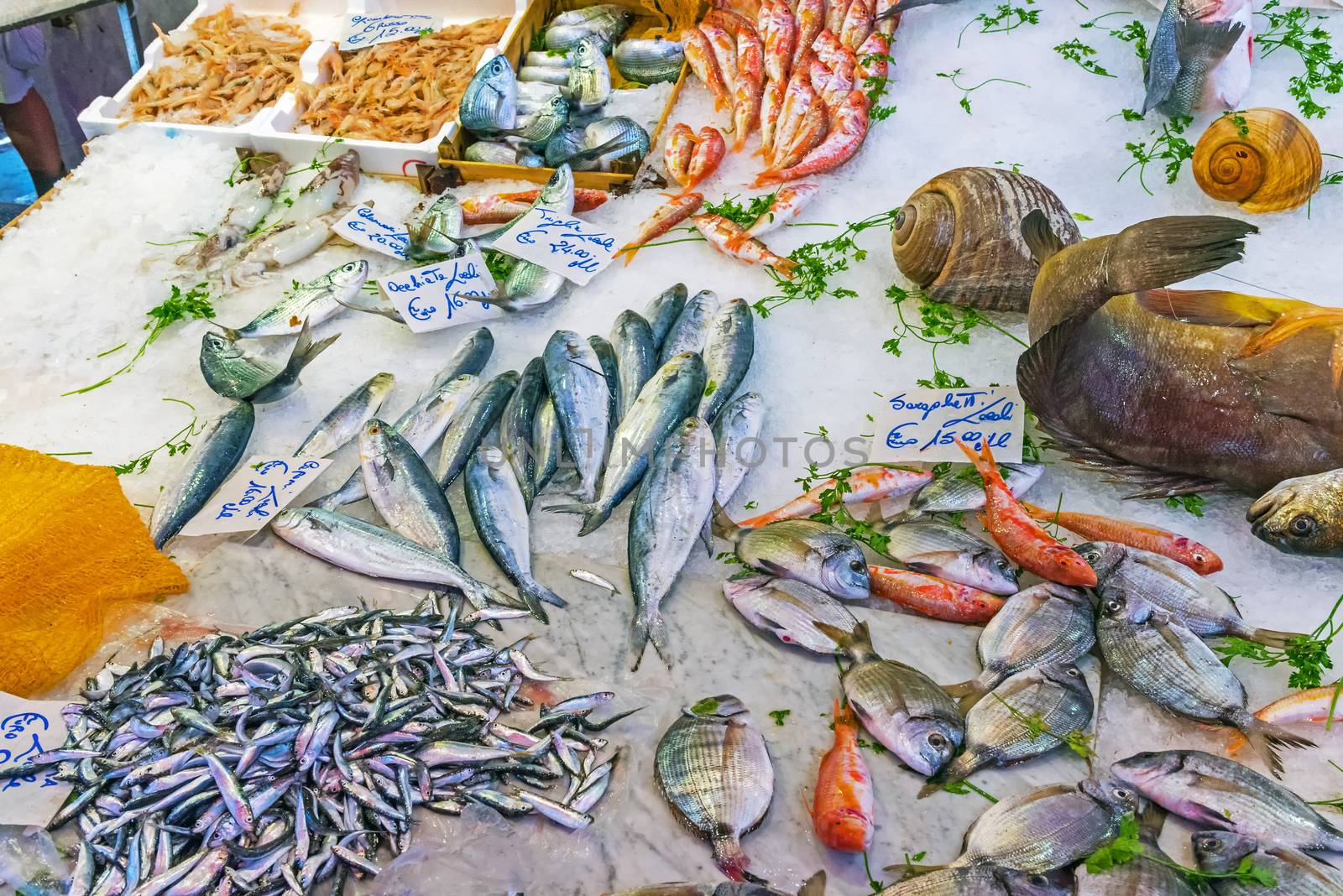 Seafood and fish for sale at a market in Sicily