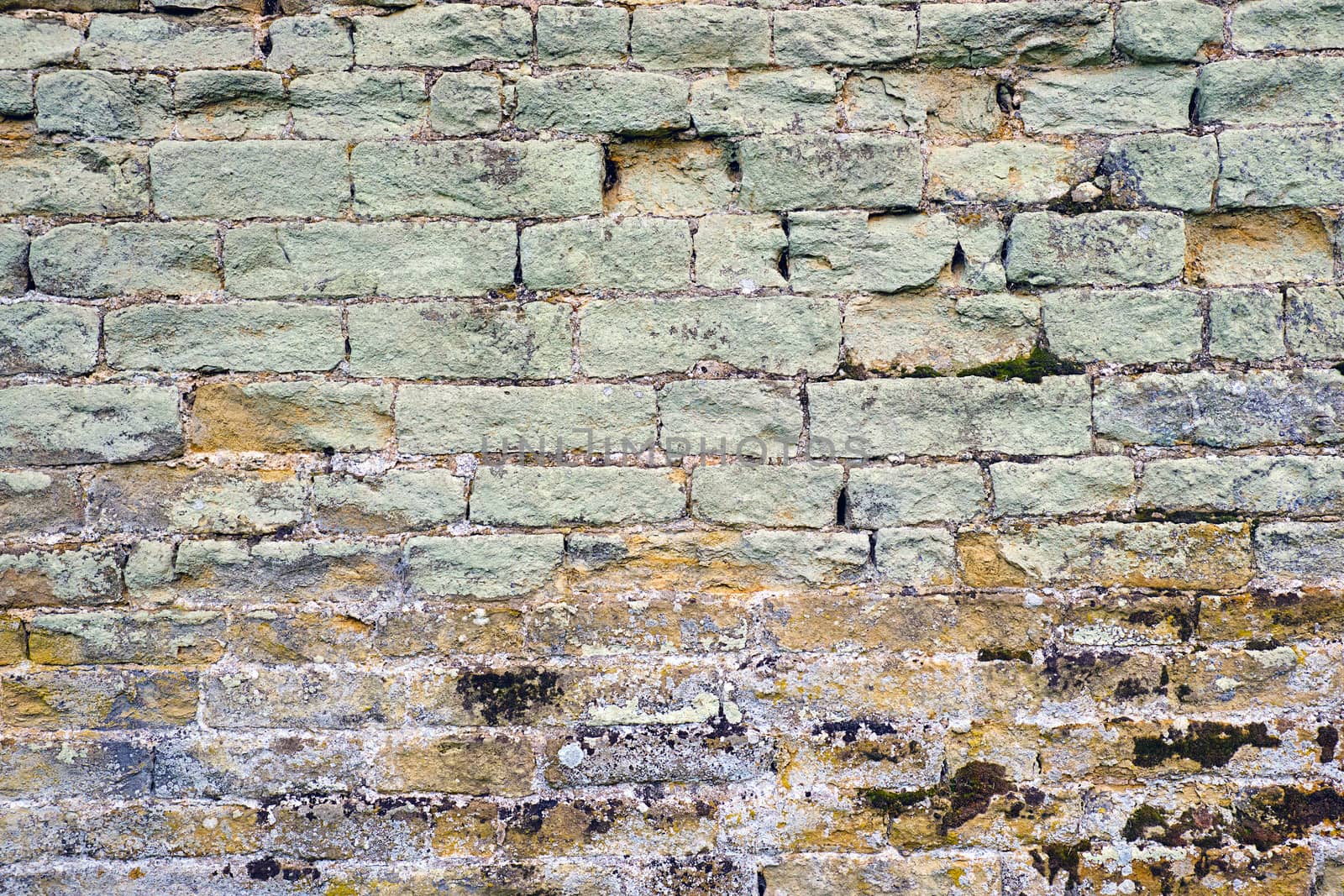 Old green brick wall with some mould by elxeneize