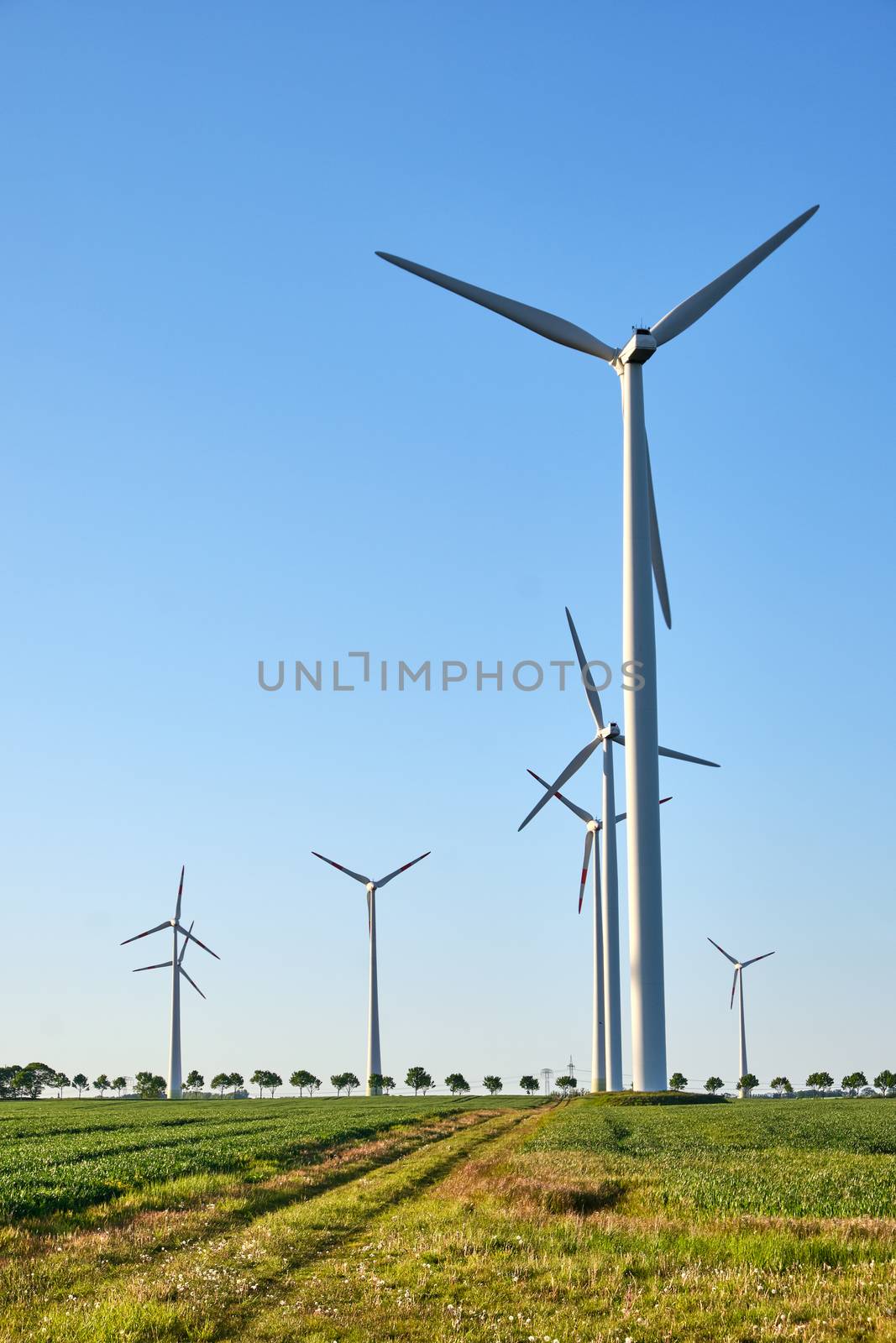 Wind power plants against the light seen in rural Germany