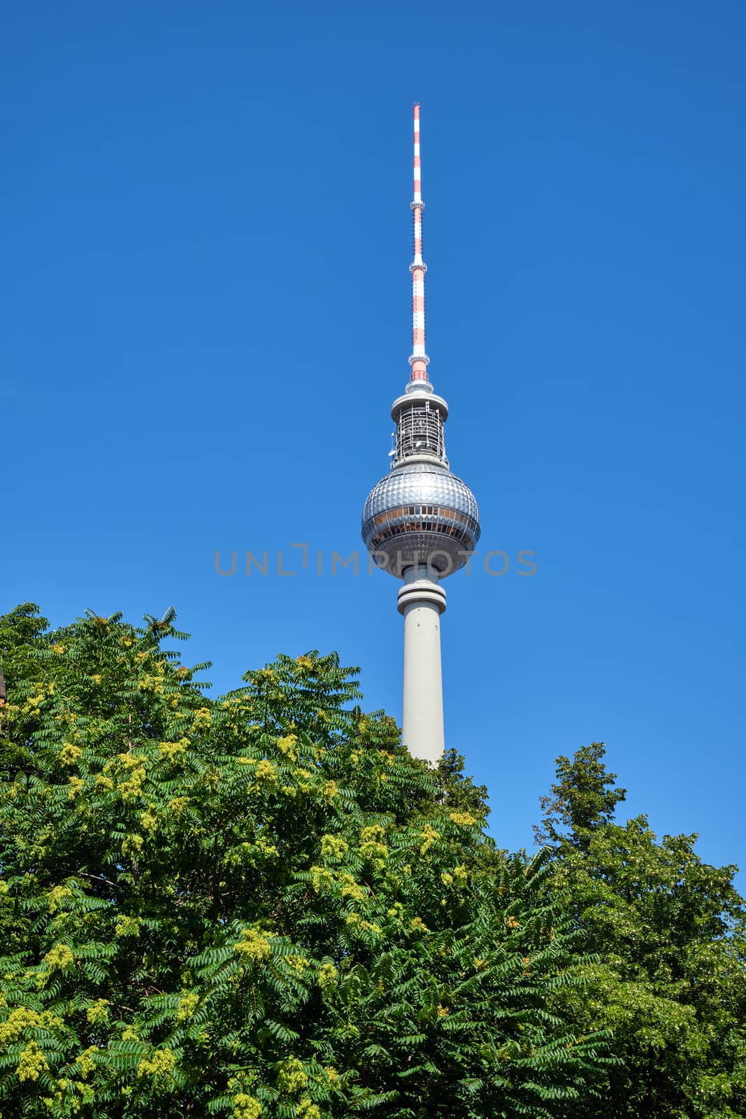 The famous Television Tower in Berlin behind some green trees