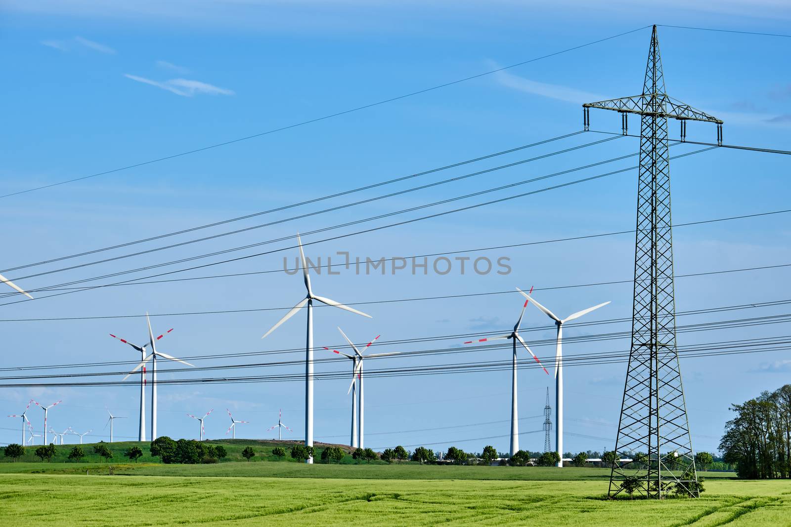 Wind wheels and power lines in a corn field in rural Germany