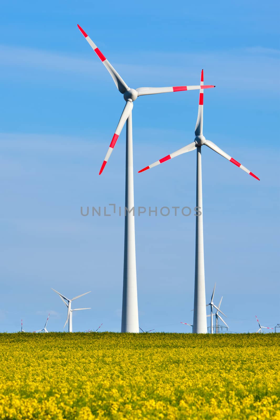 Wind turbines in a thriving rapeseed field seen in Germany