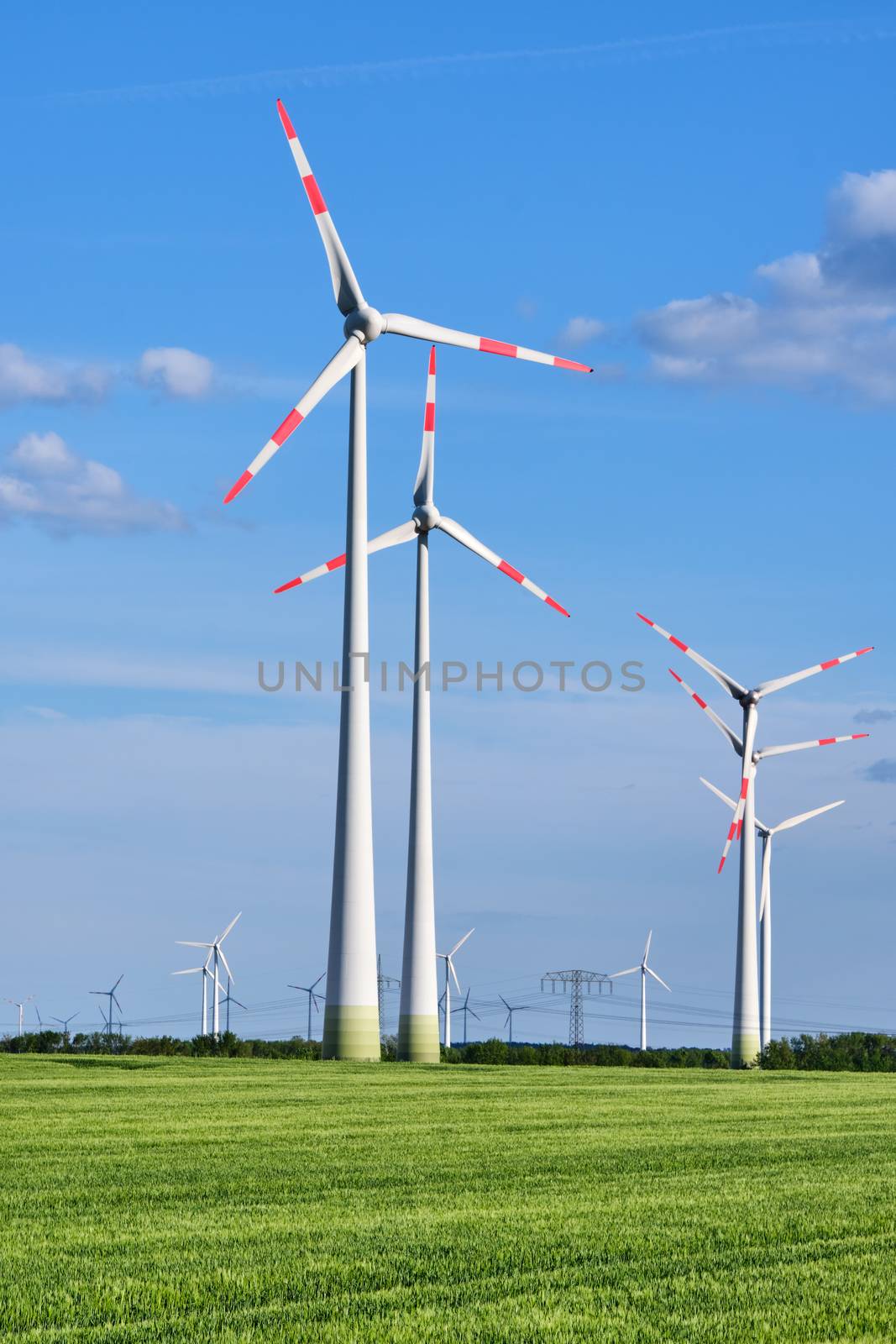 Wind turbines in a green corn field seen in Germany