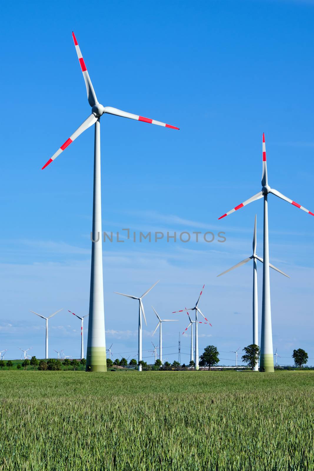 Wind energy generators in a cornfield seen in Germany