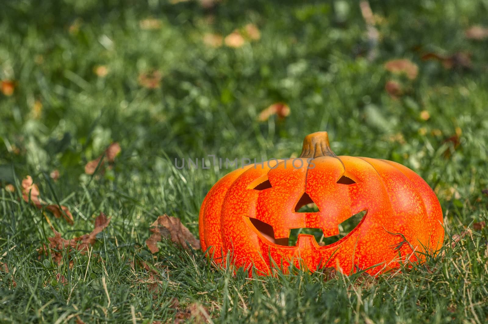 Halloween scary pumpkin with a smile in autumn forest