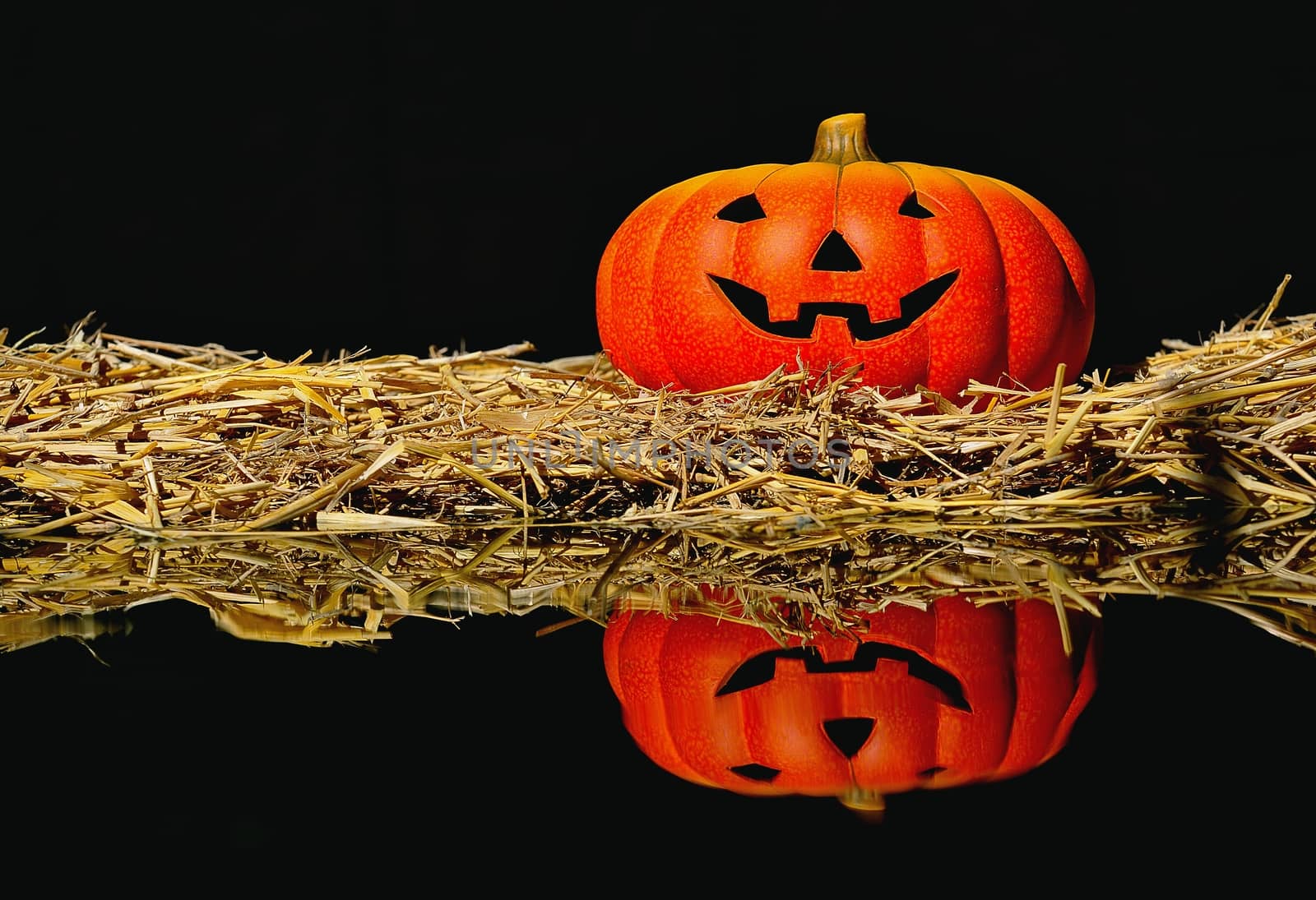 Halloween scary pumpkin with a smile in autumn forest