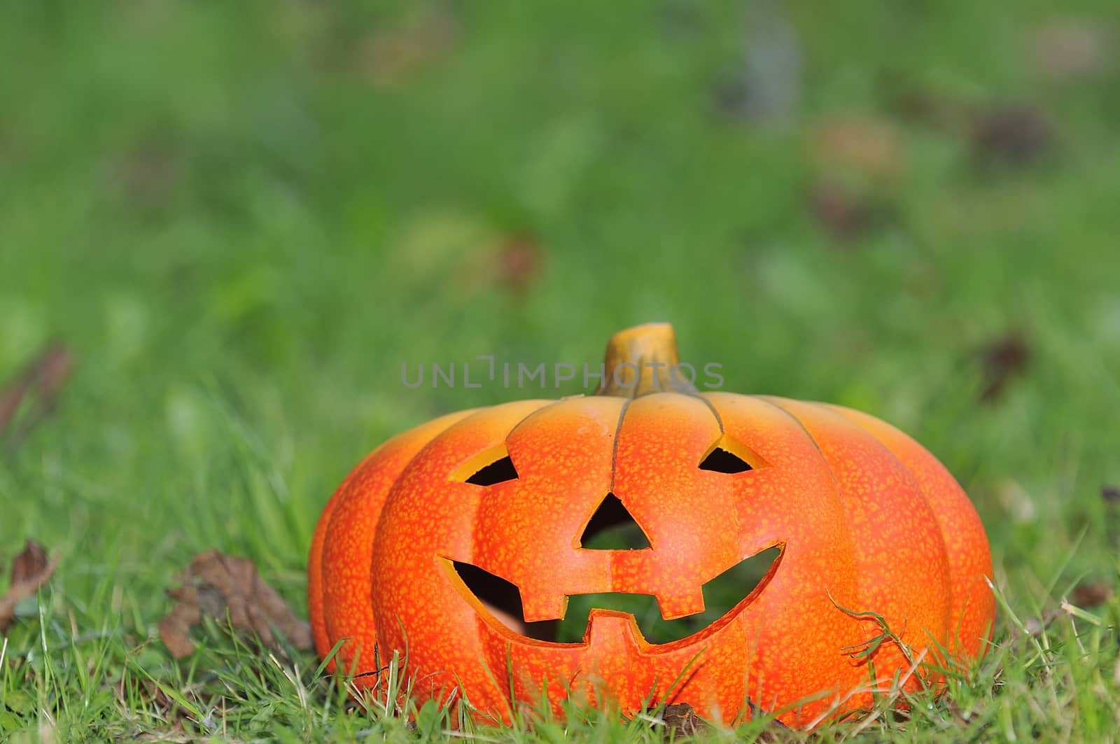 Halloween scary pumpkin with a smile by CreativePhotoSpain