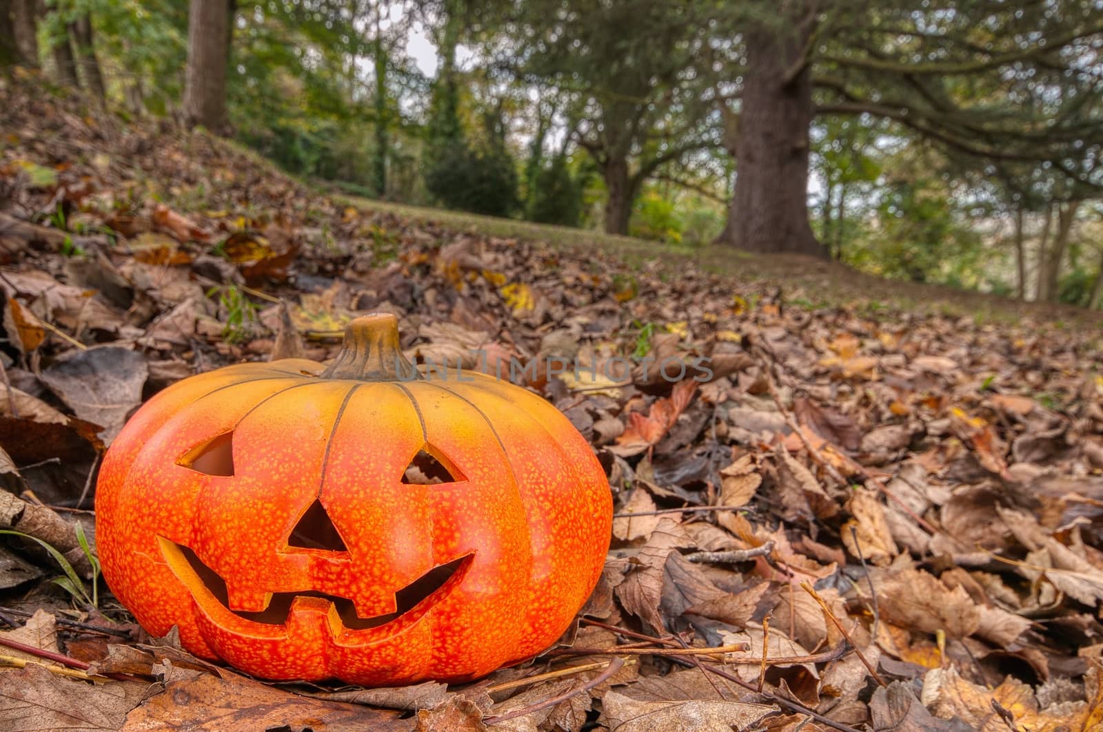 Halloween scary pumpkin with a smile by CreativePhotoSpain