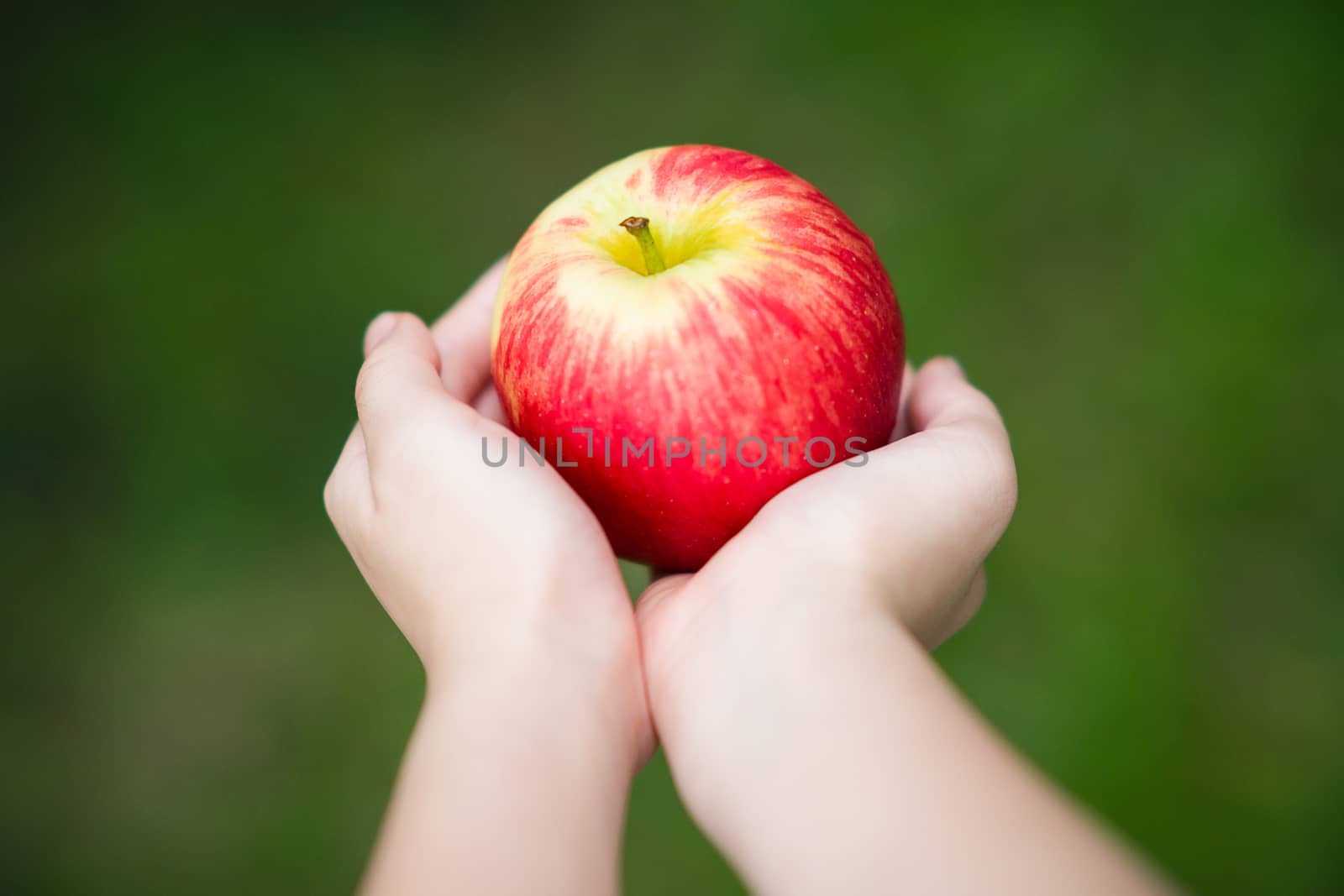 Hands holding apples illustrating concept of healthy lifestyle.