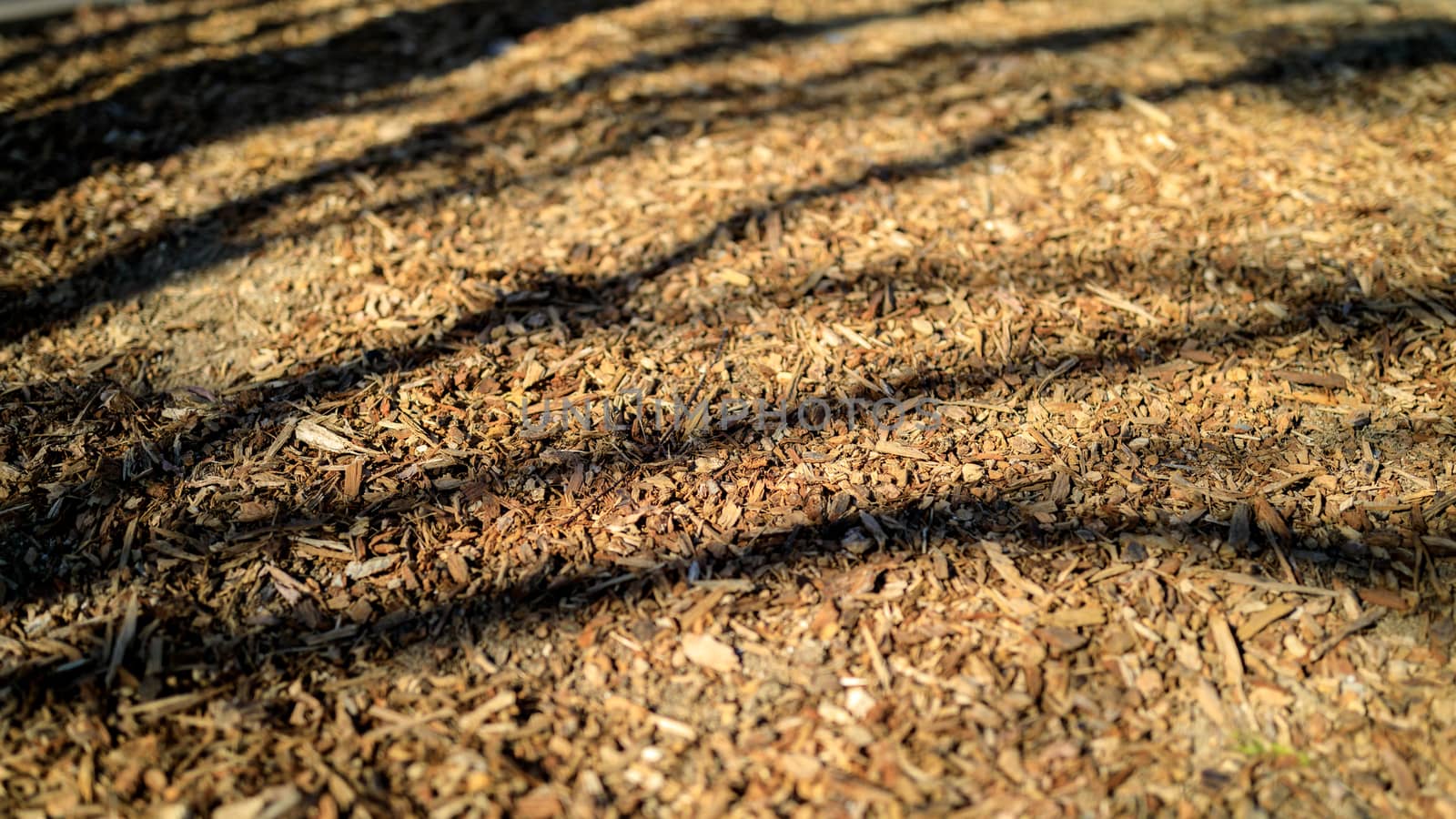 Background of dry leaves with tree shadow.
