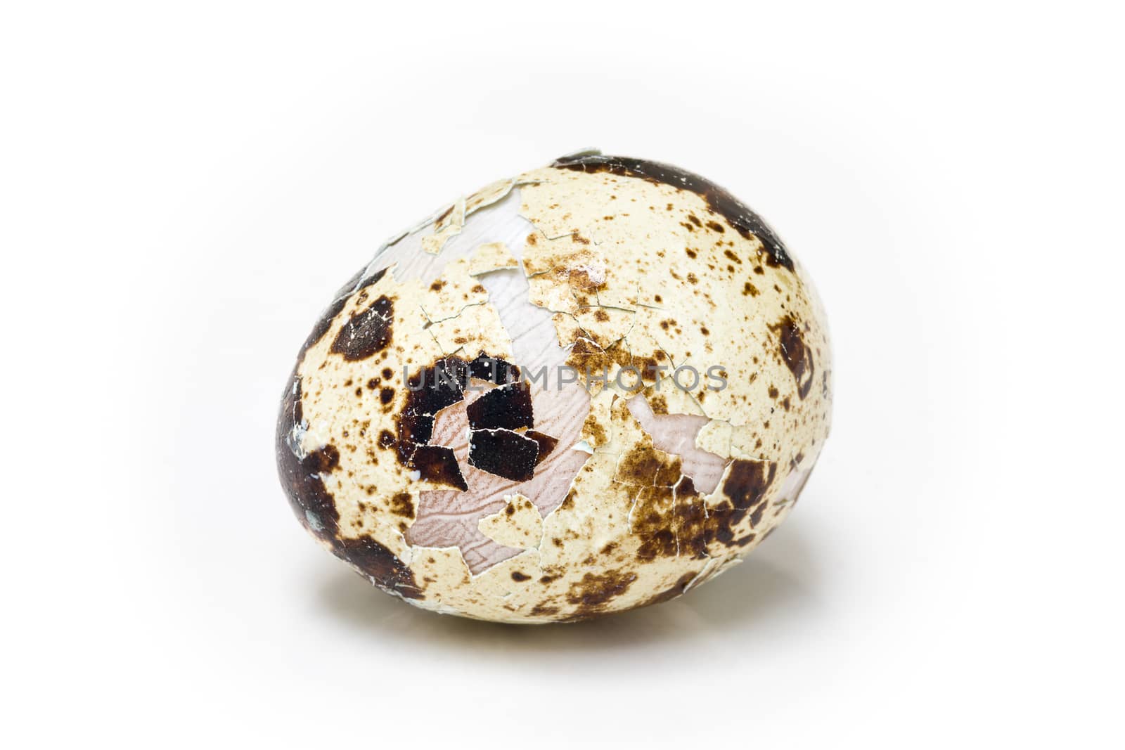 Studio shot of cracked quail egg isolated on white background.