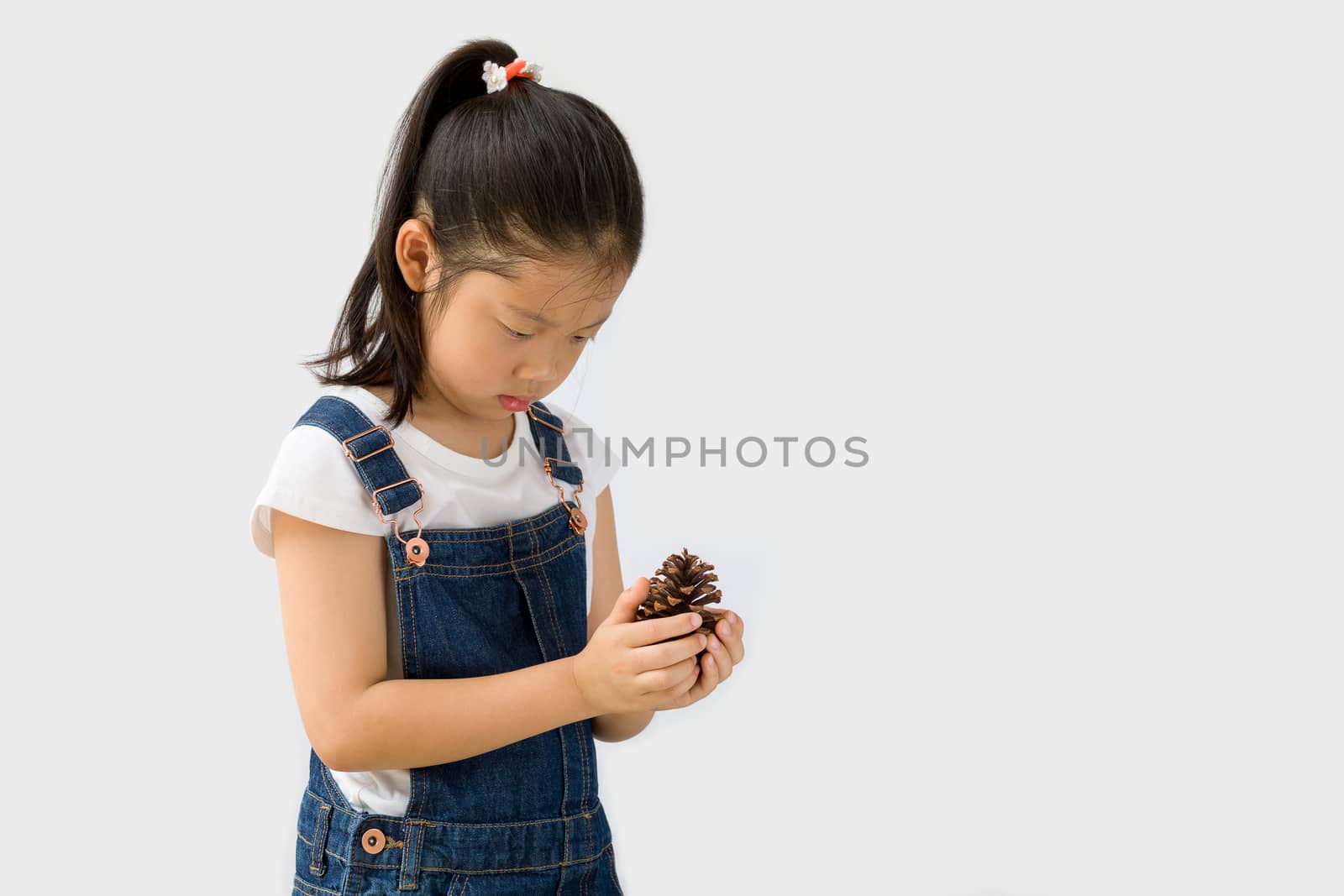 Studio shot of organic farming concept, Asian child farmer, isolated on white background.