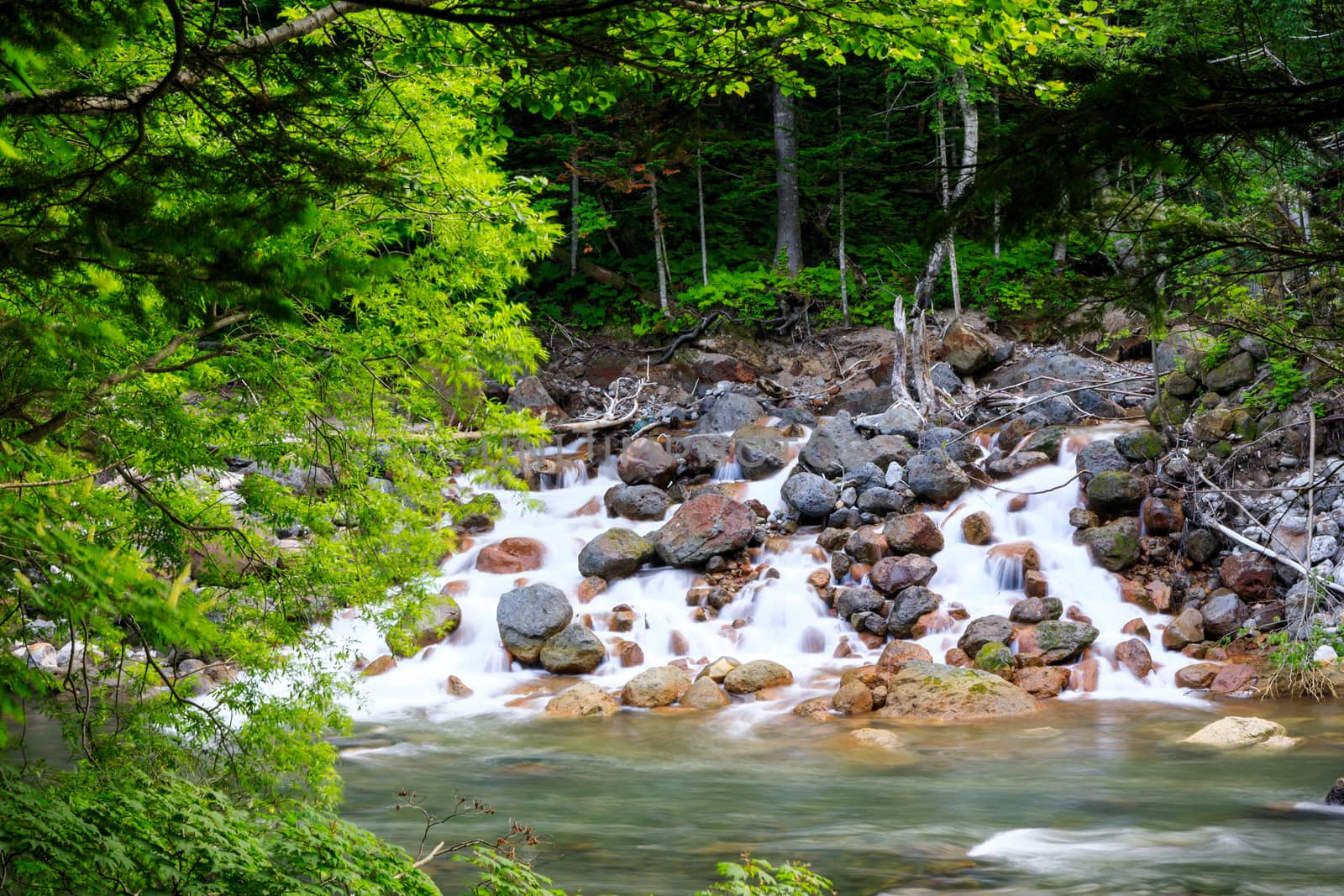 Creek flowing over rock in rainforest with slow shutter speed.